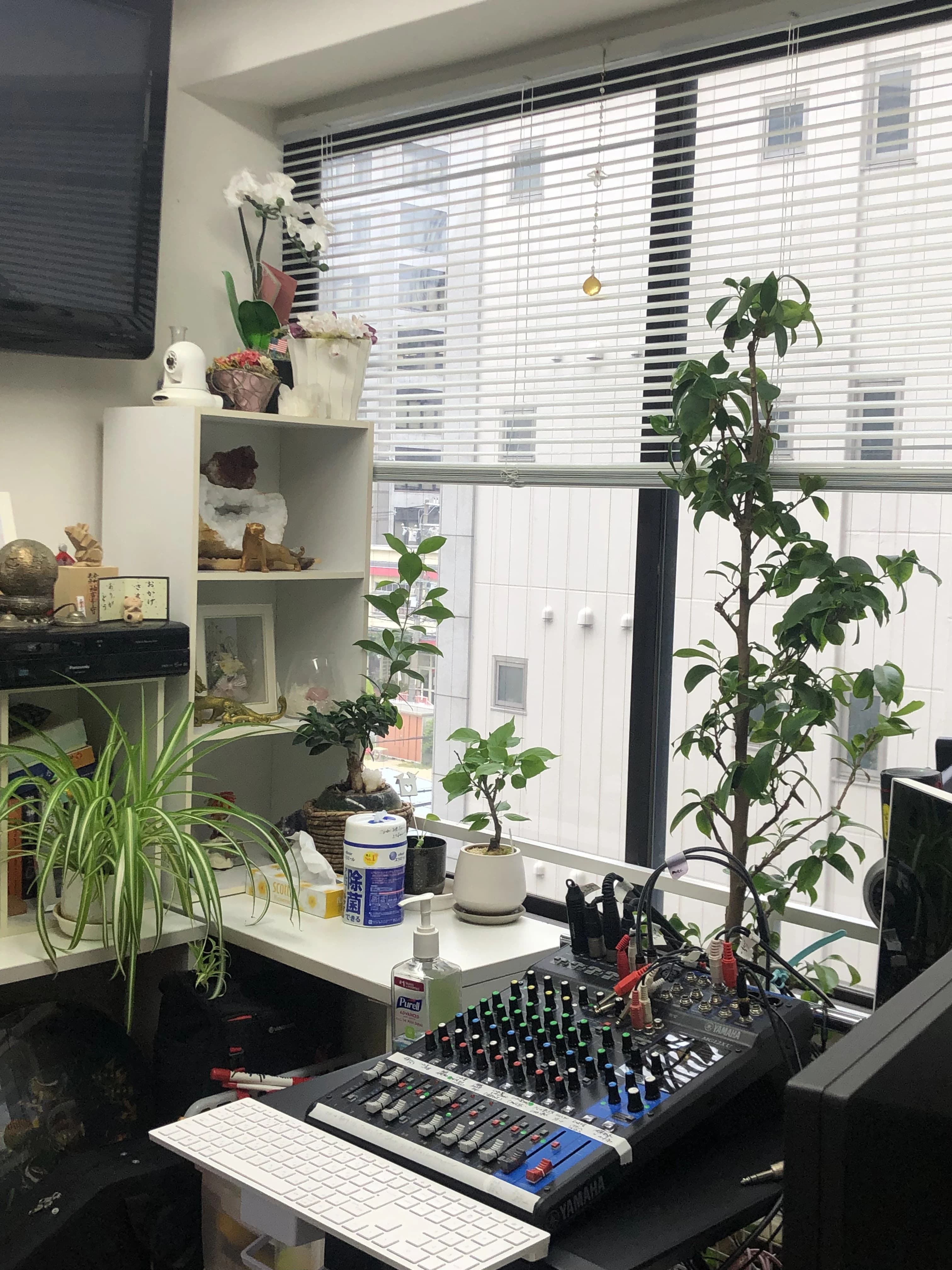 IMIボイストレーニング・ボーカルスクール大阪校 ピアノ 南船場教室 画像 47