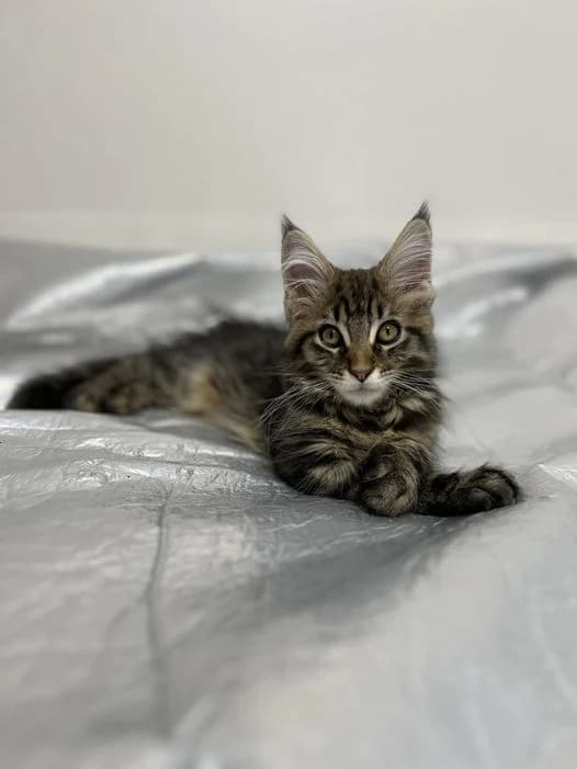 IMIボイストレーニング・ボーカルスクール大阪校 ピアノ 南船場教室 画像 57