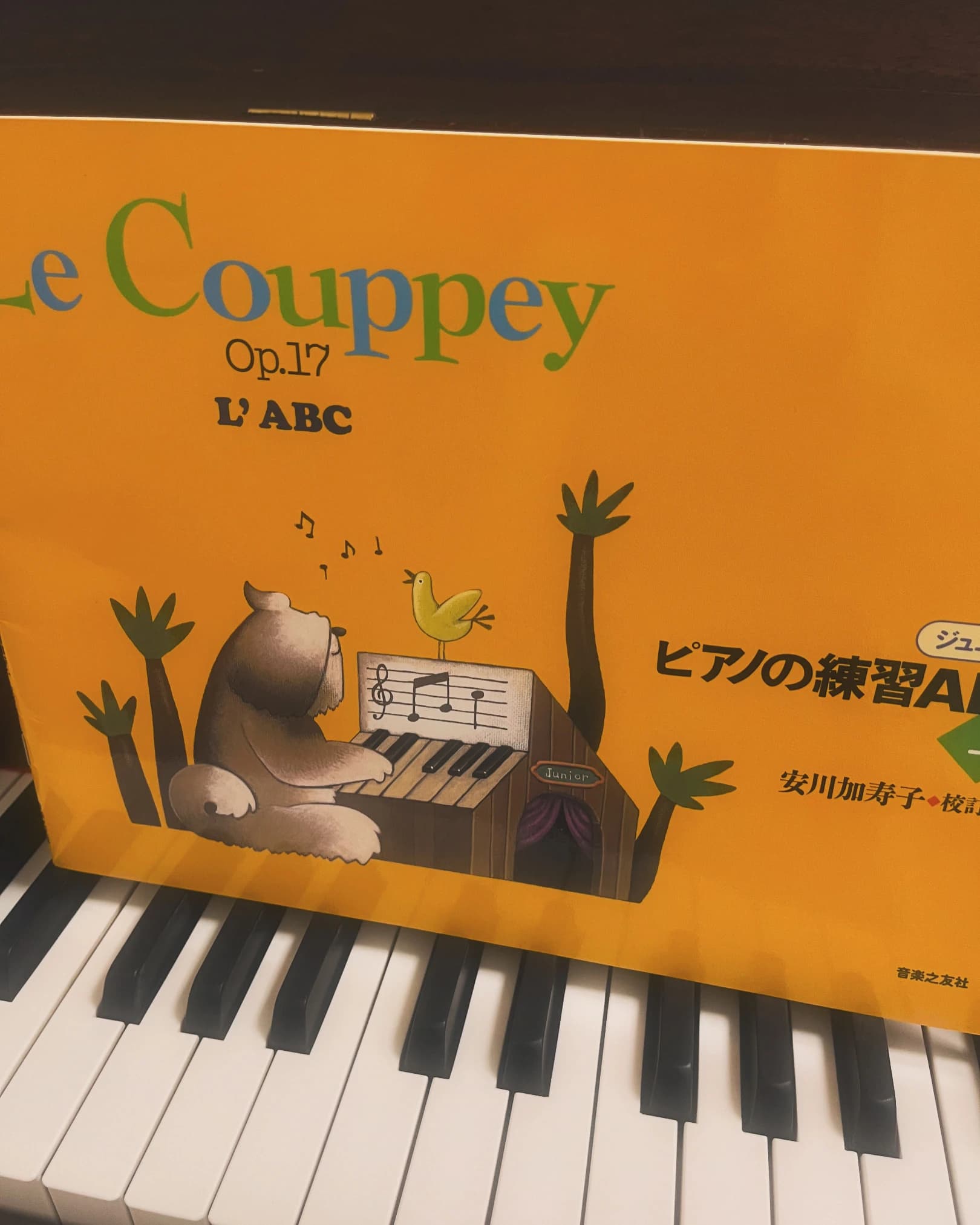 Salon de reve musique(サロン デ レーヴ ミュージック) ピアノ 梅田教室のサムネイル画像 3