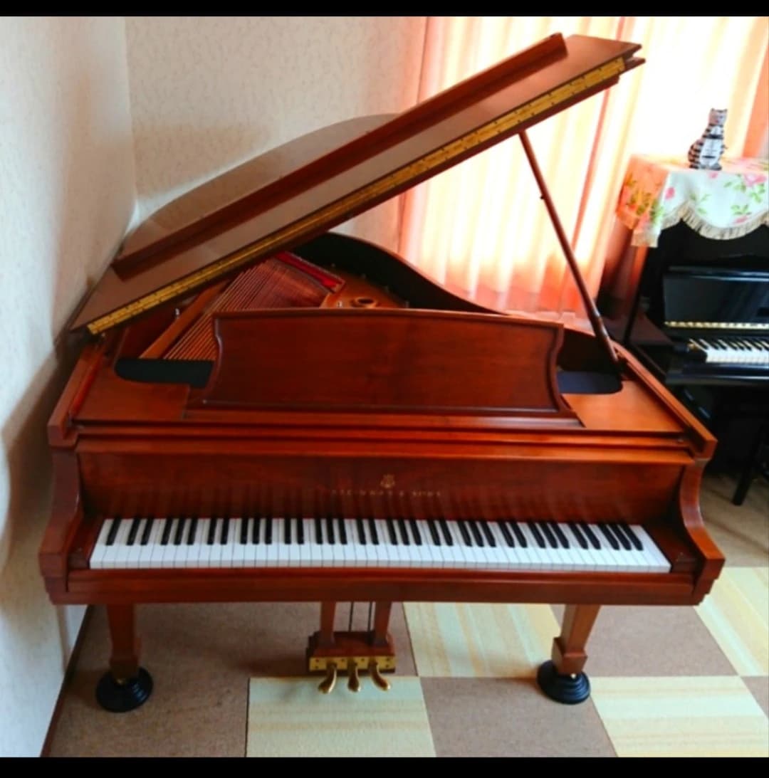 ゆかピアノ・リトミック教室 安岡寺教室のメイン画像