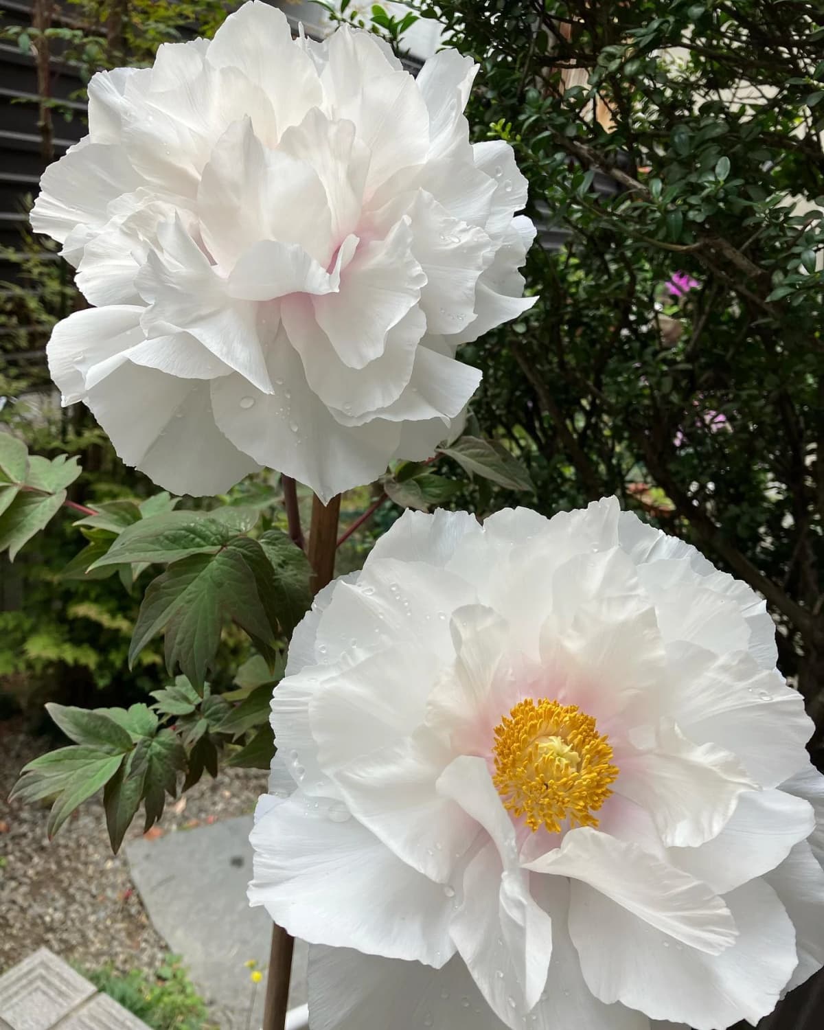 サムネイル画像 5