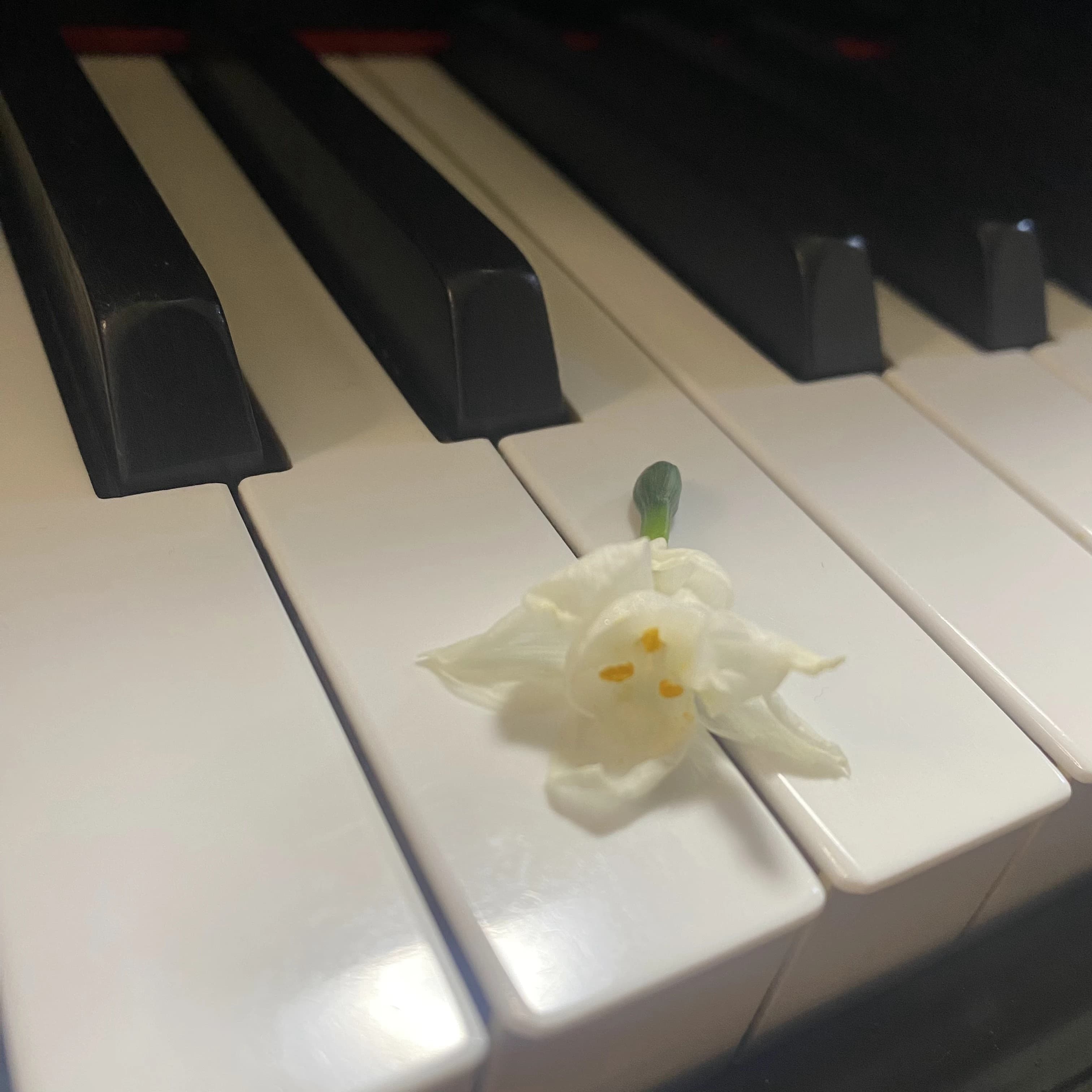 ドルチェピアノ教室 寝屋新町教室 画像 23