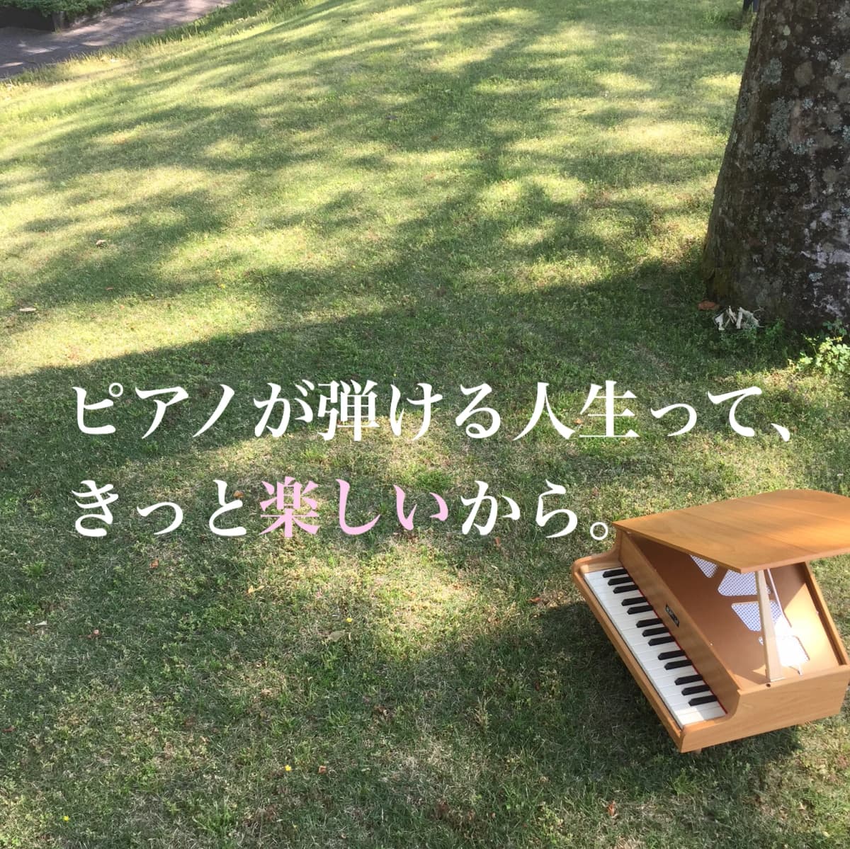 岡本雅子ピアノ教室 幸町教室 画像 18