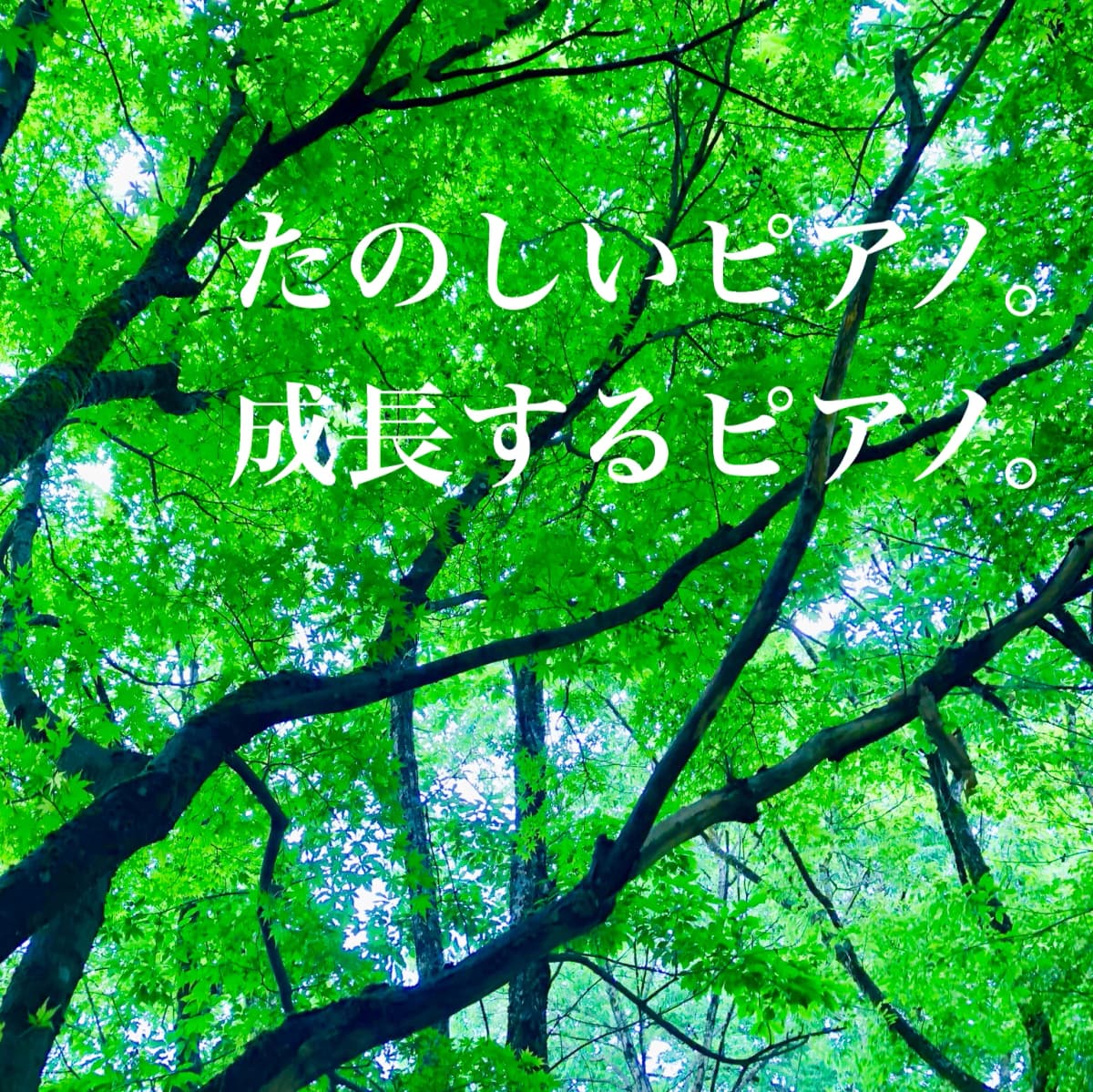 岡本雅子ピアノ教室 幸町教室 画像 27