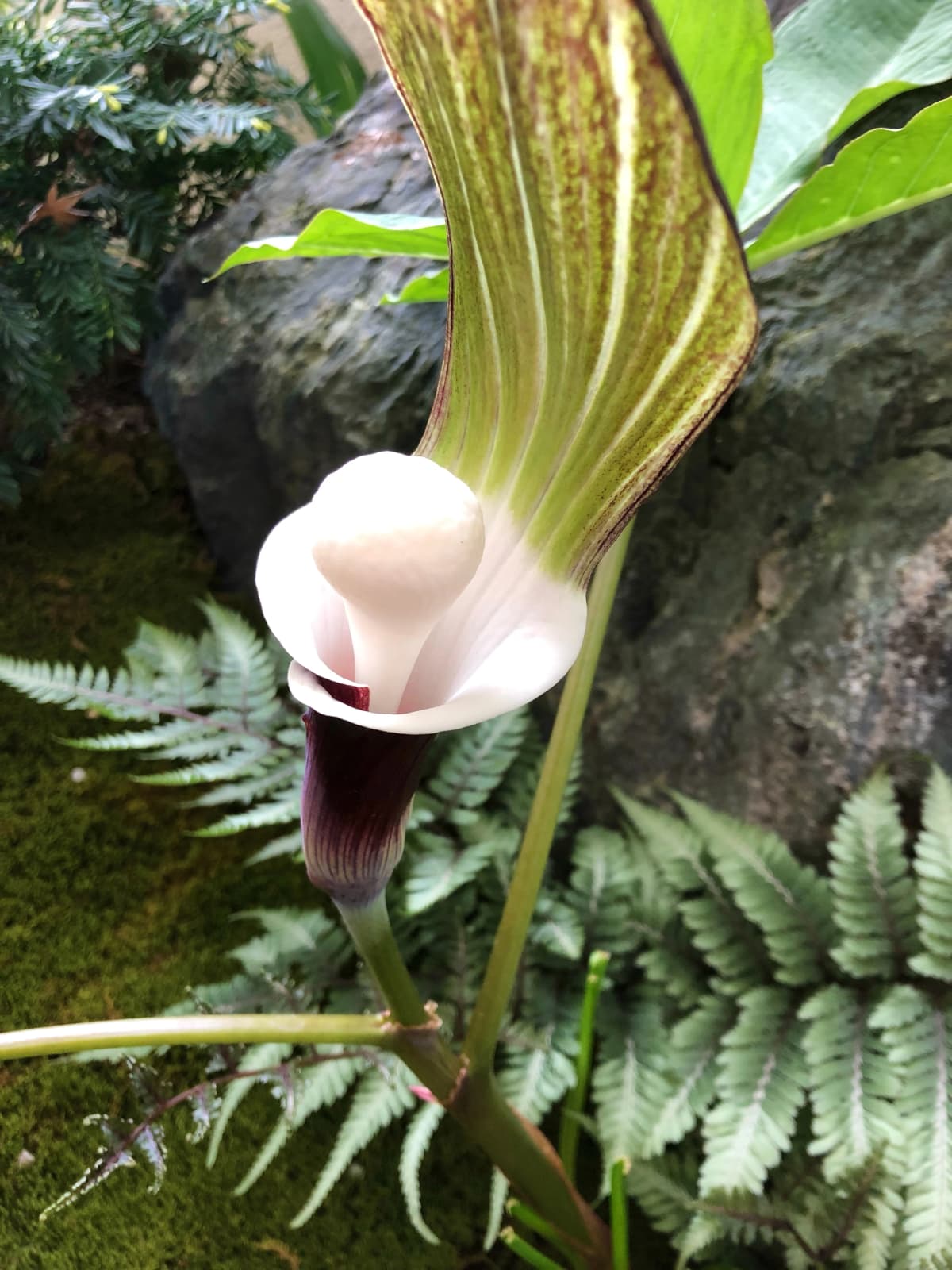 サムネイル画像 4