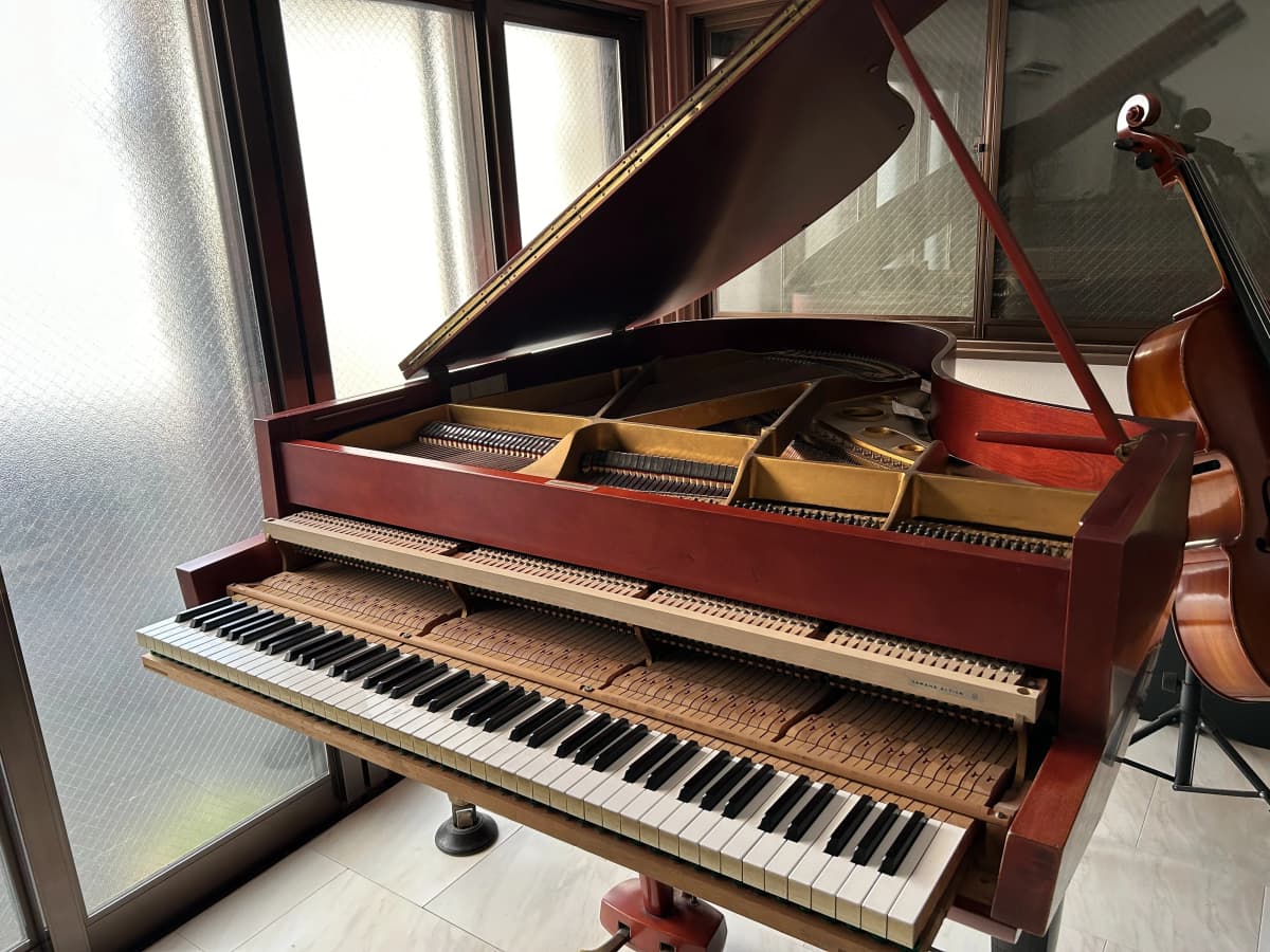 サムネイル画像 3