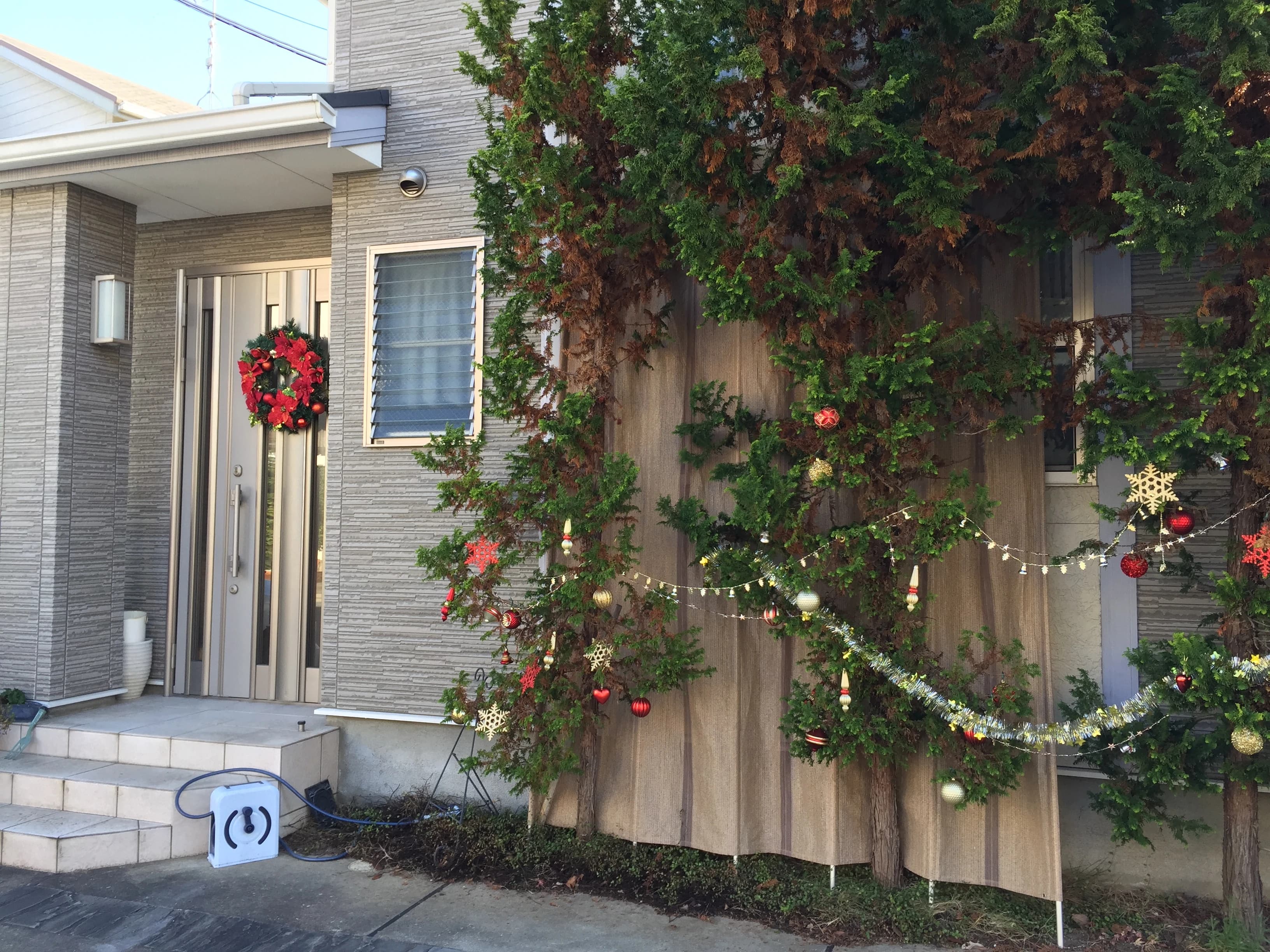 Amabile音楽教室 ピアノ 木幡御蔵山教室のサムネイル画像 5