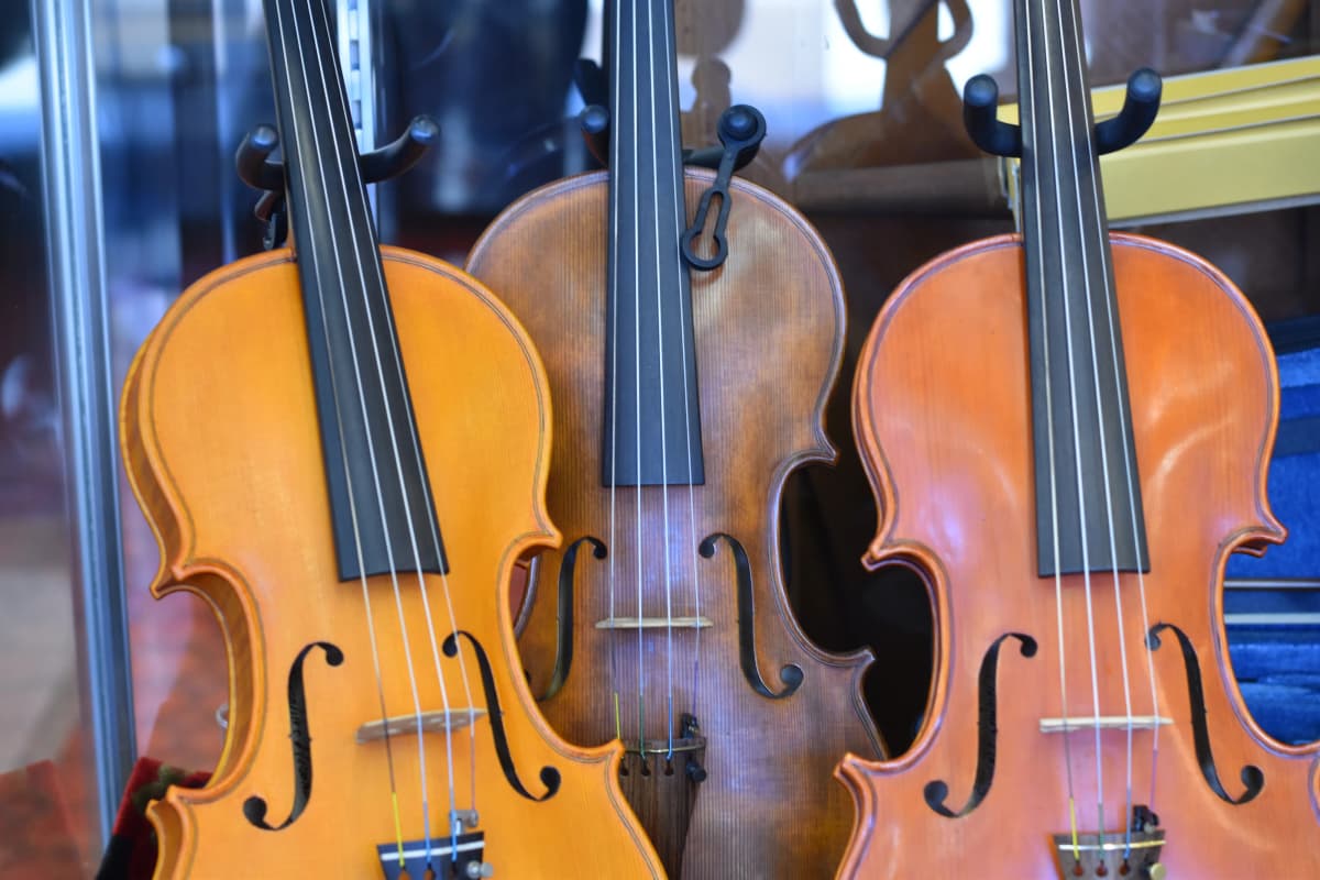 サムネイル画像 6