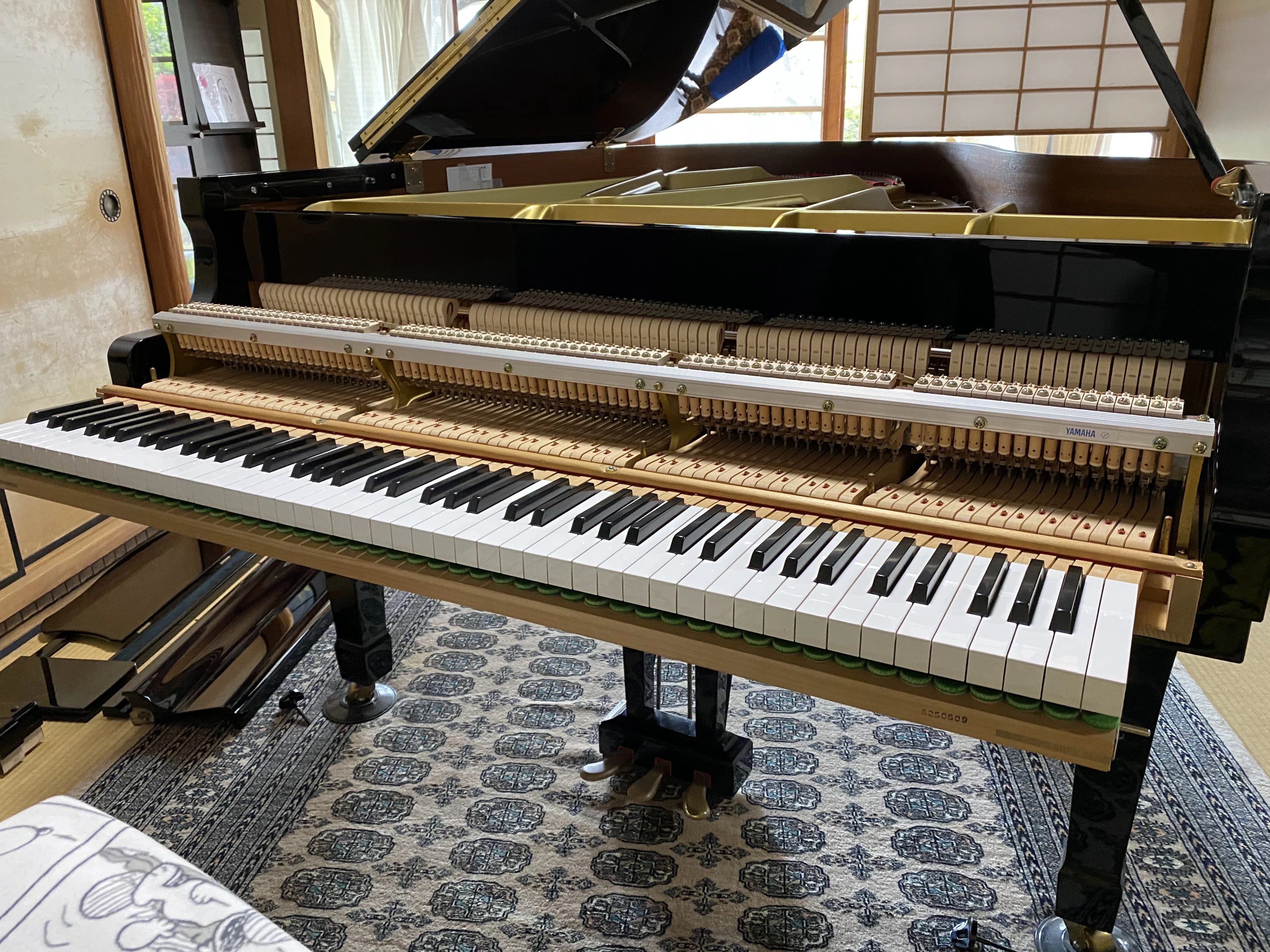 Sorriso(ソリッソ) ピアノ 大和高田市教室のメイン画像