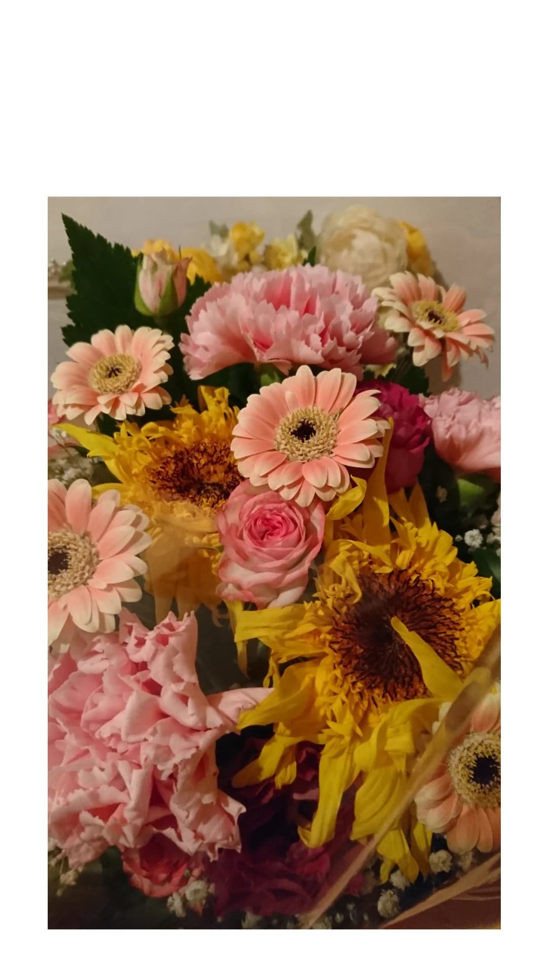 大野音楽教室 ピアノ 疋田教室 画像 6