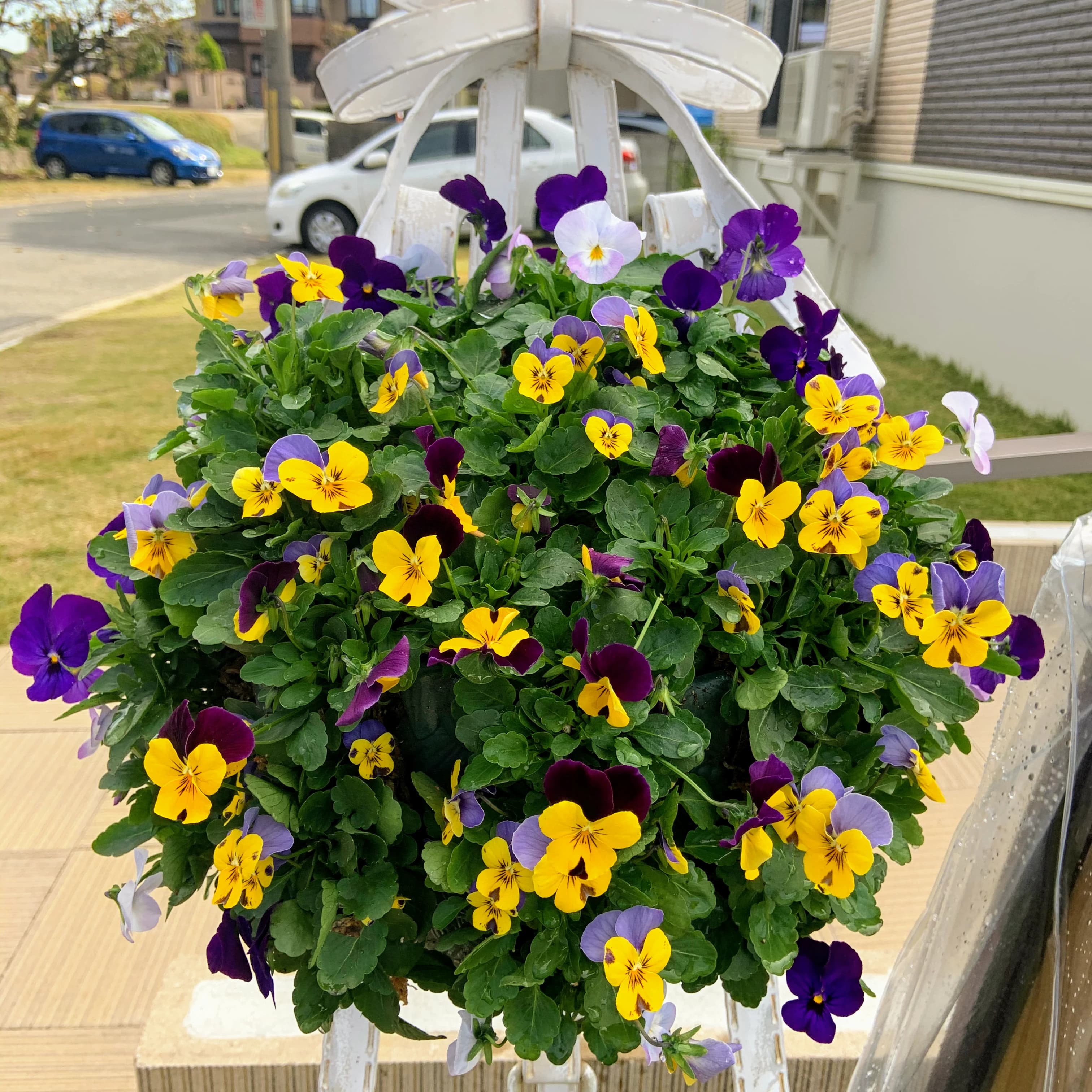 MUSIK WALD ピアノ 勢野東教室のサムネイル画像 3