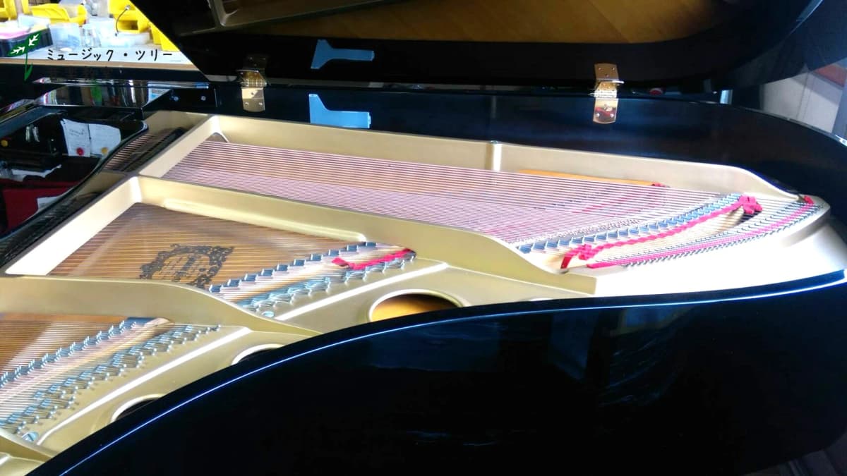 サムネイル画像 5