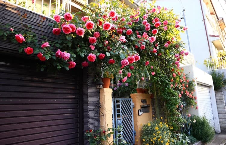 サムネイル画像 3