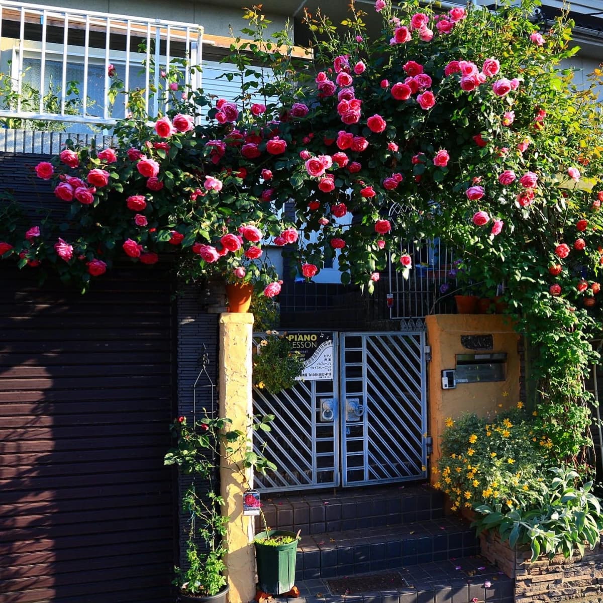 サムネイル画像 4