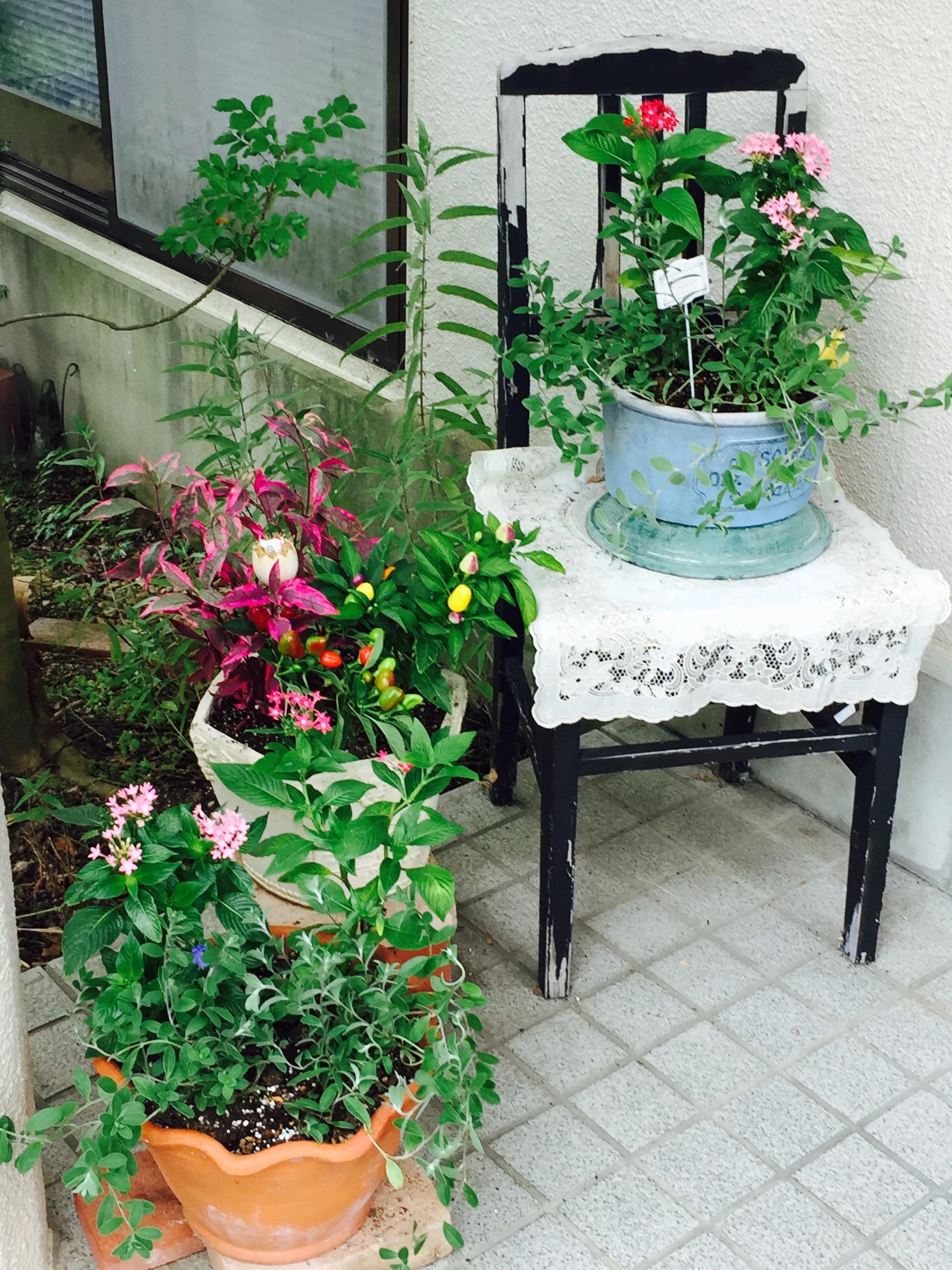 ラ・ポルテ音楽教室 ピアノ 大内中央教室のサムネイル画像 5