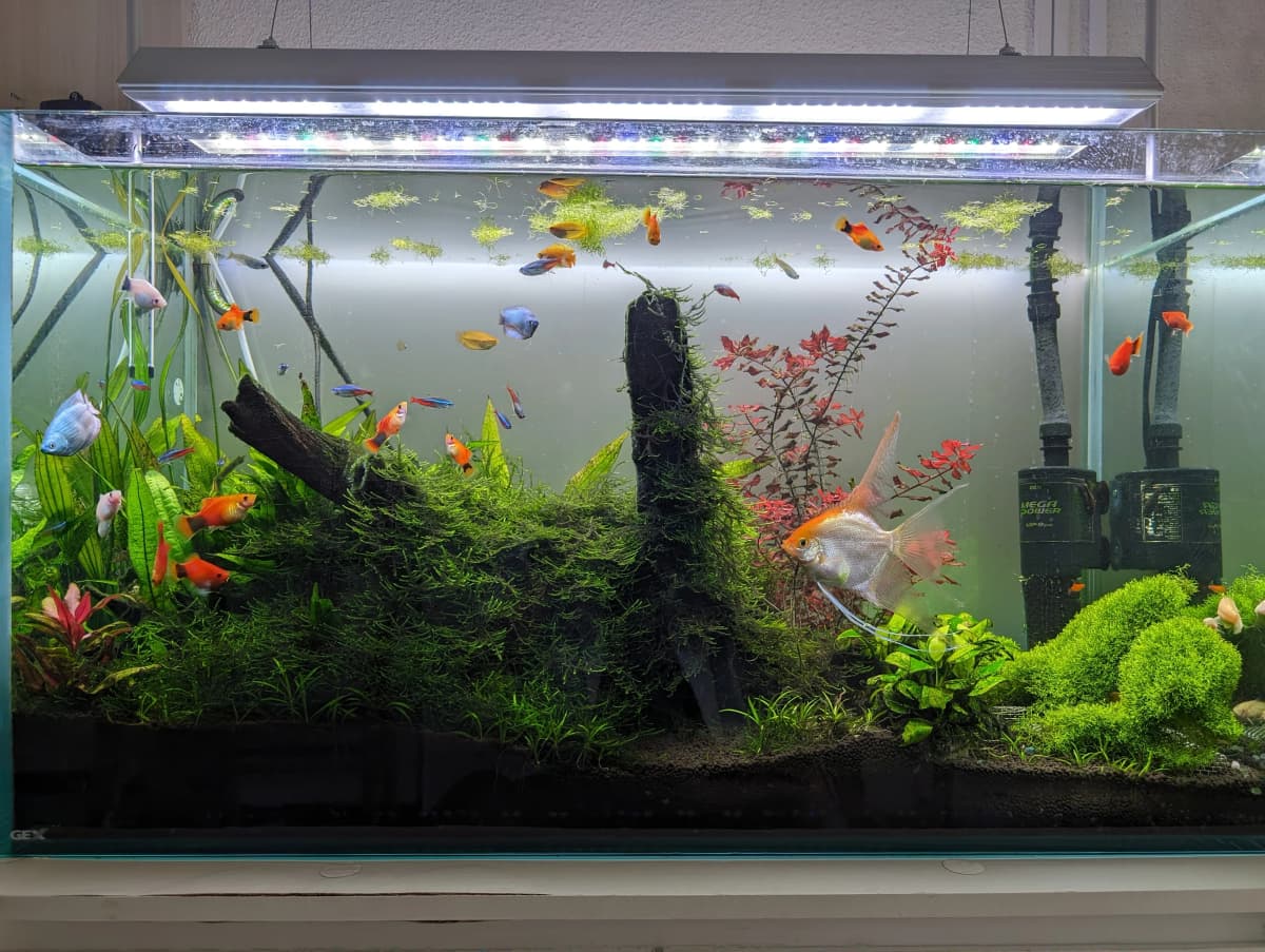 サムネイル画像 5