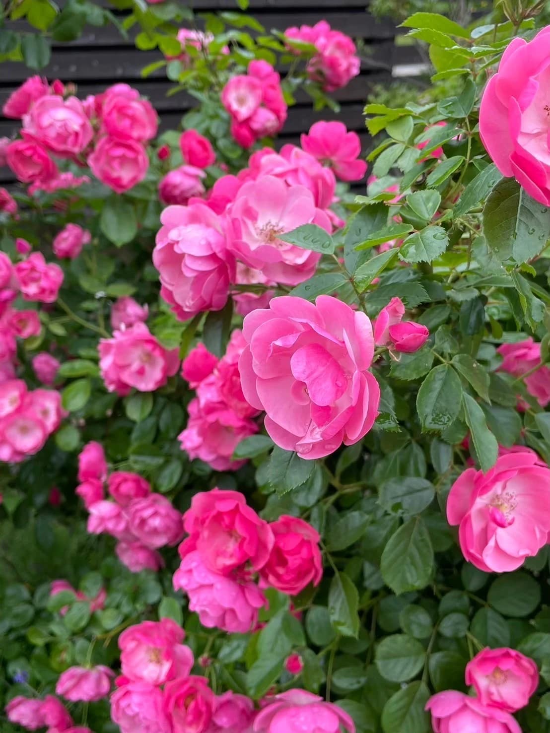 サムネイル画像 3