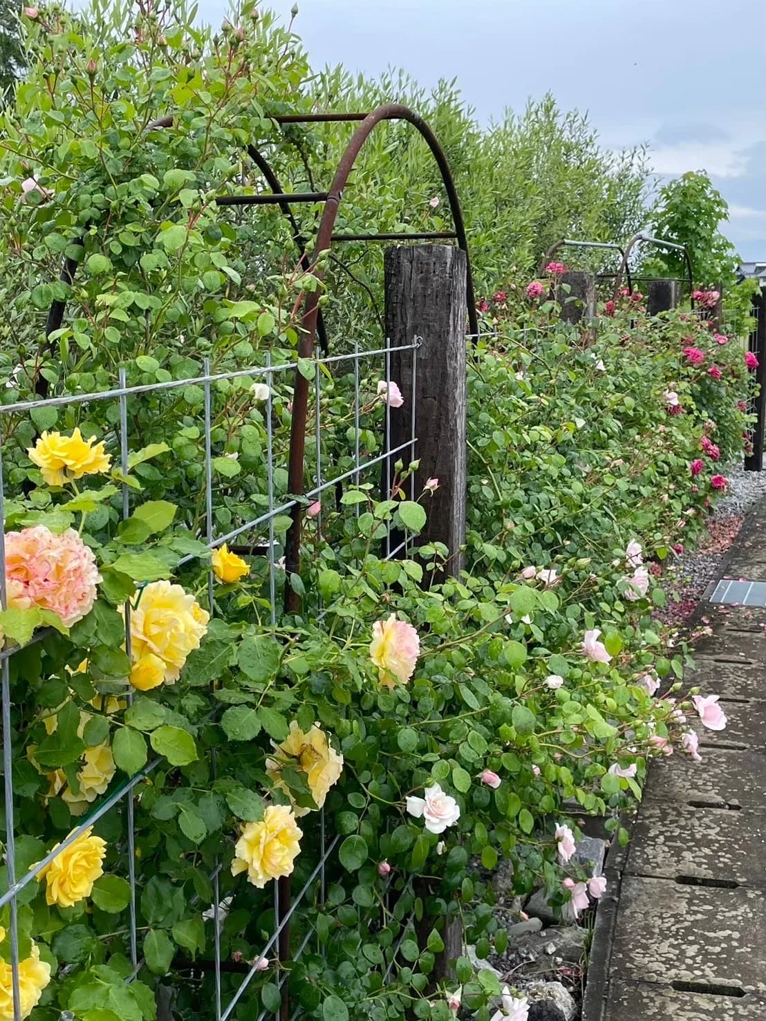 サムネイル画像 4