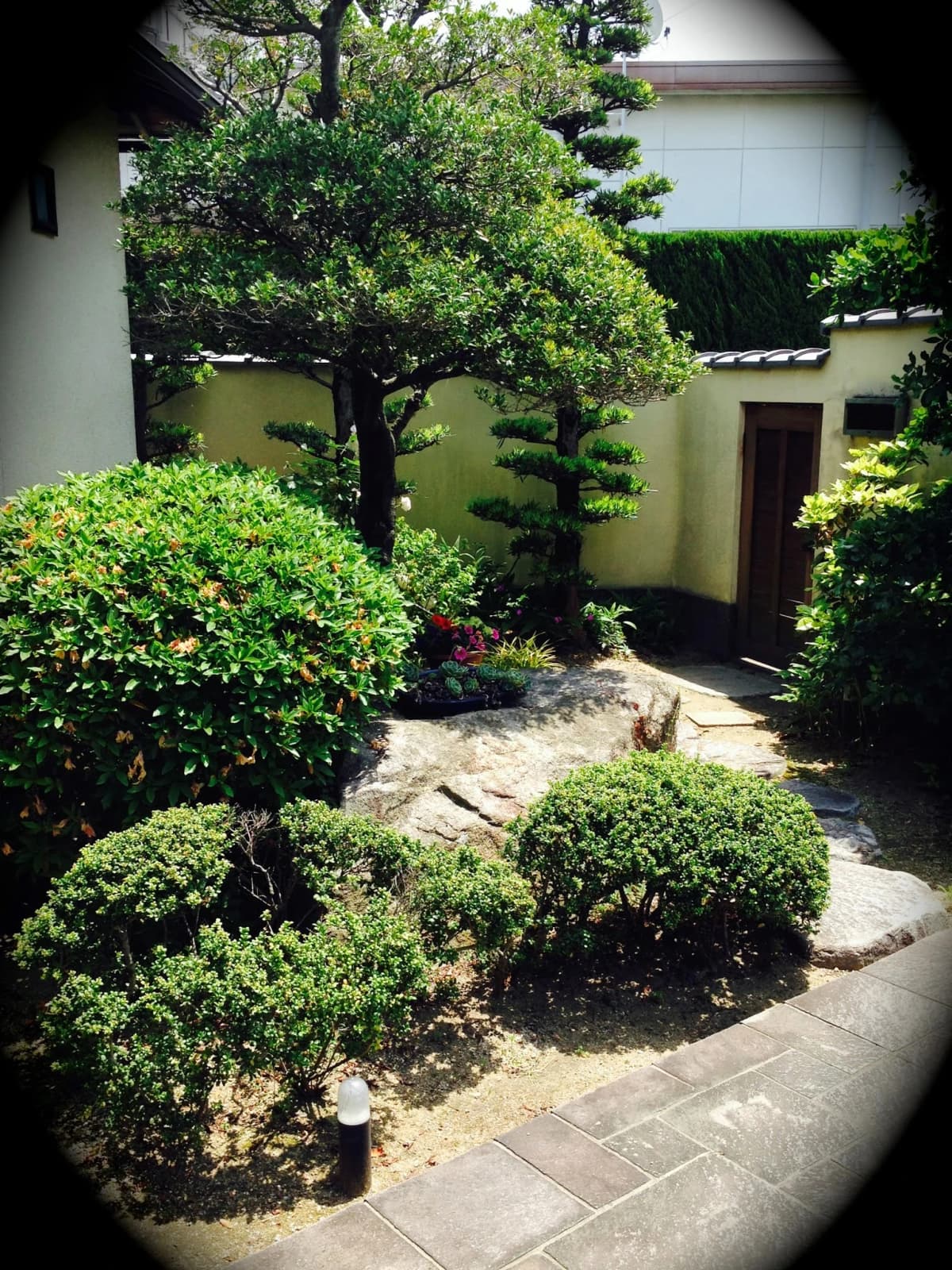 ピアノサロン・フィアカ 田村教室 画像 17