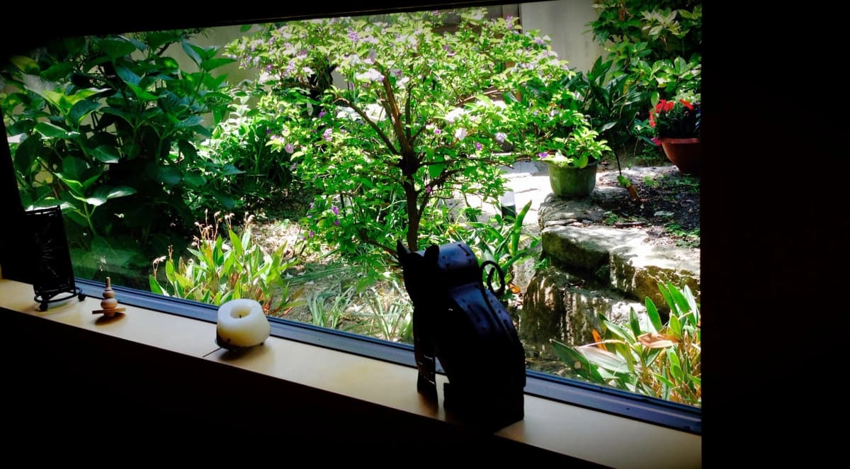 ピアノサロン・フィアカ 田村教室 画像 22