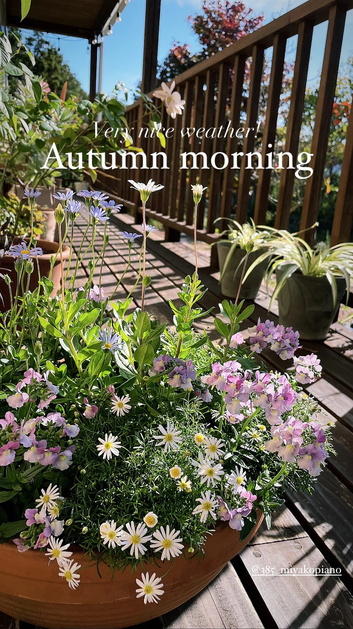 MIYAKO PIANO みやこ町教室 画像 17