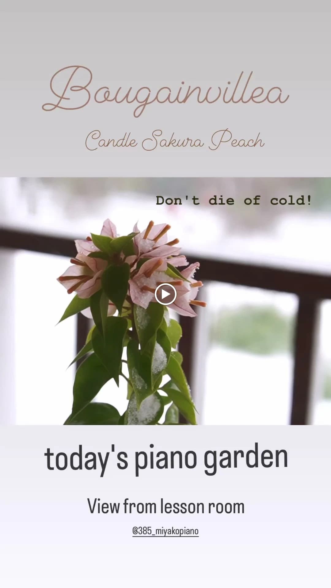 MIYAKO PIANO みやこ町教室 画像 18