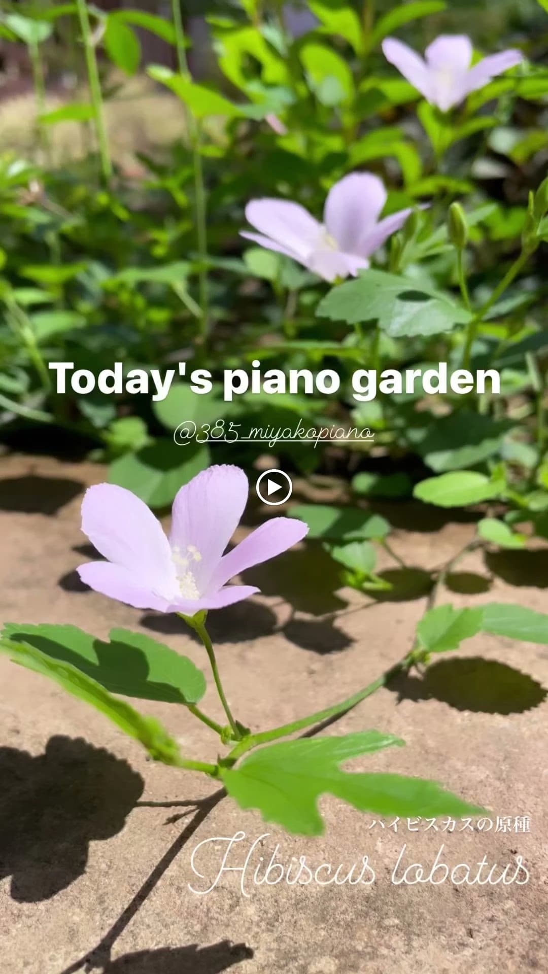 MIYAKO PIANO みやこ町教室 画像 27