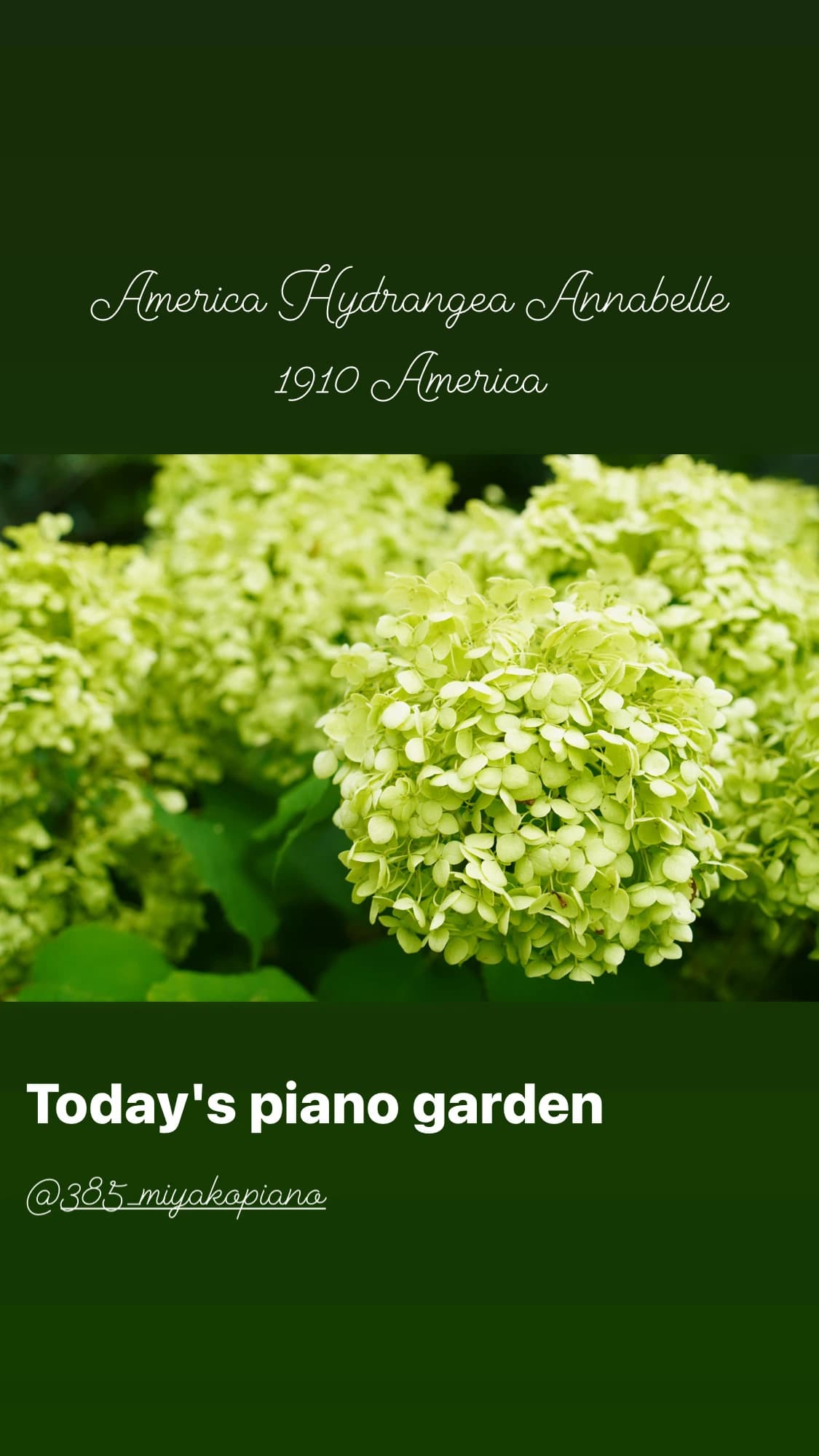 MIYAKO PIANO みやこ町教室 画像 29