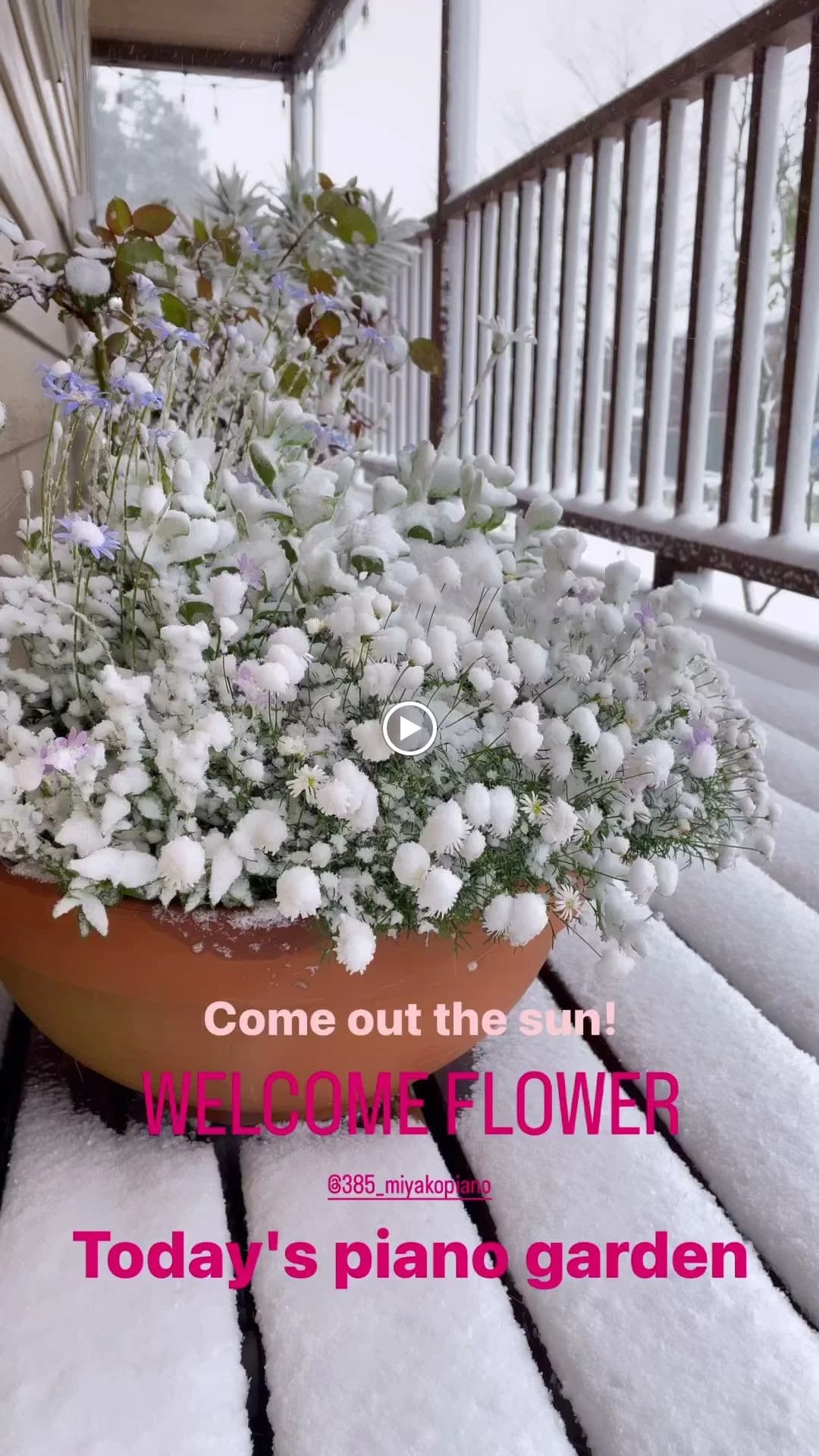 サムネイル画像 5