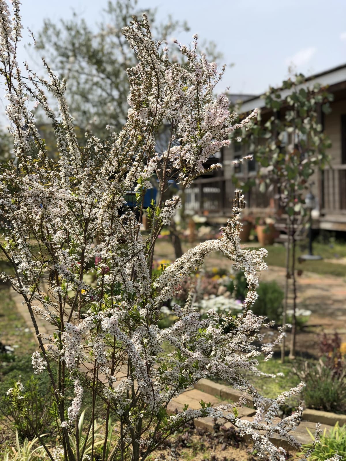 サムネイル画像 6