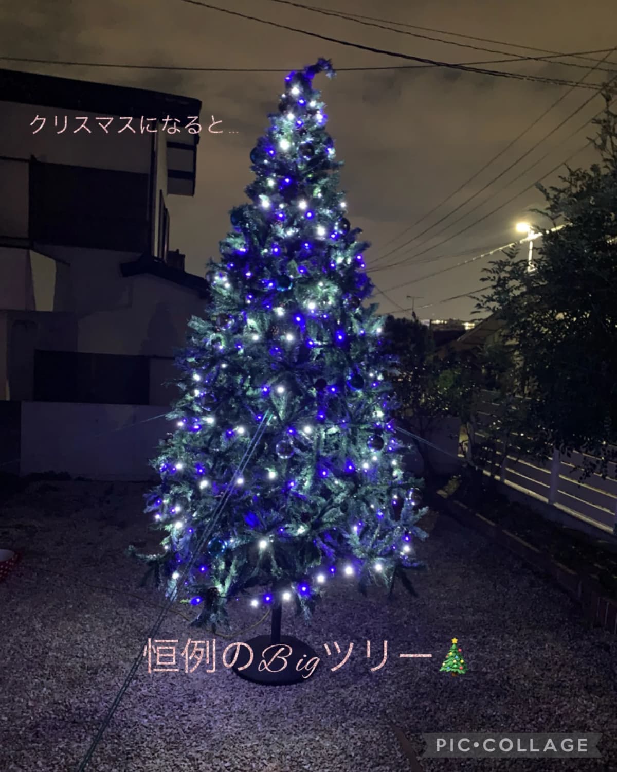 サムネイル画像 3