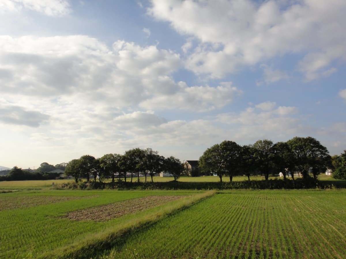 サムネイル画像 5