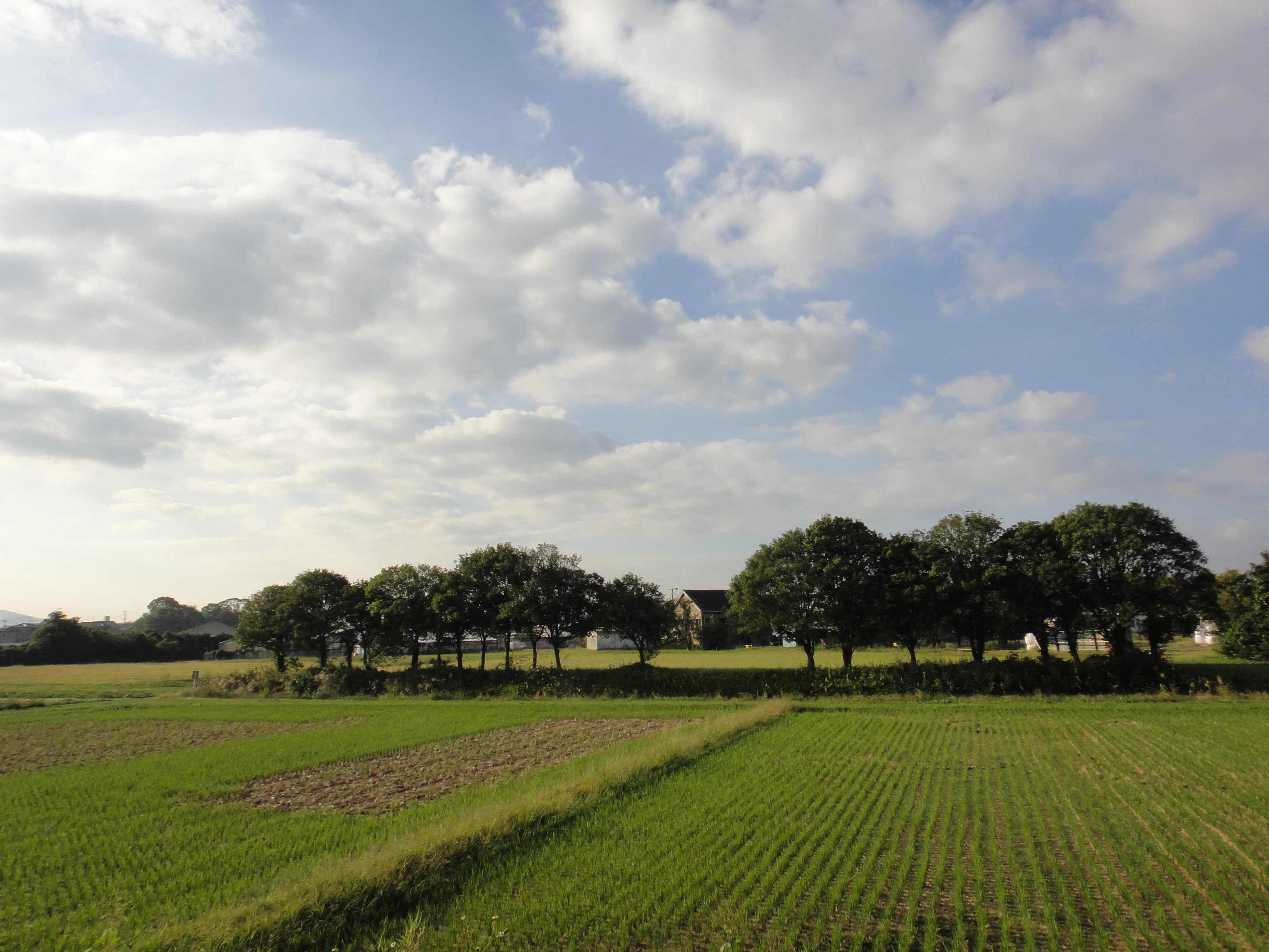 心を育むピアノ教室　わたなべミュージックステーション 粕屋教室のサムネイル画像 4