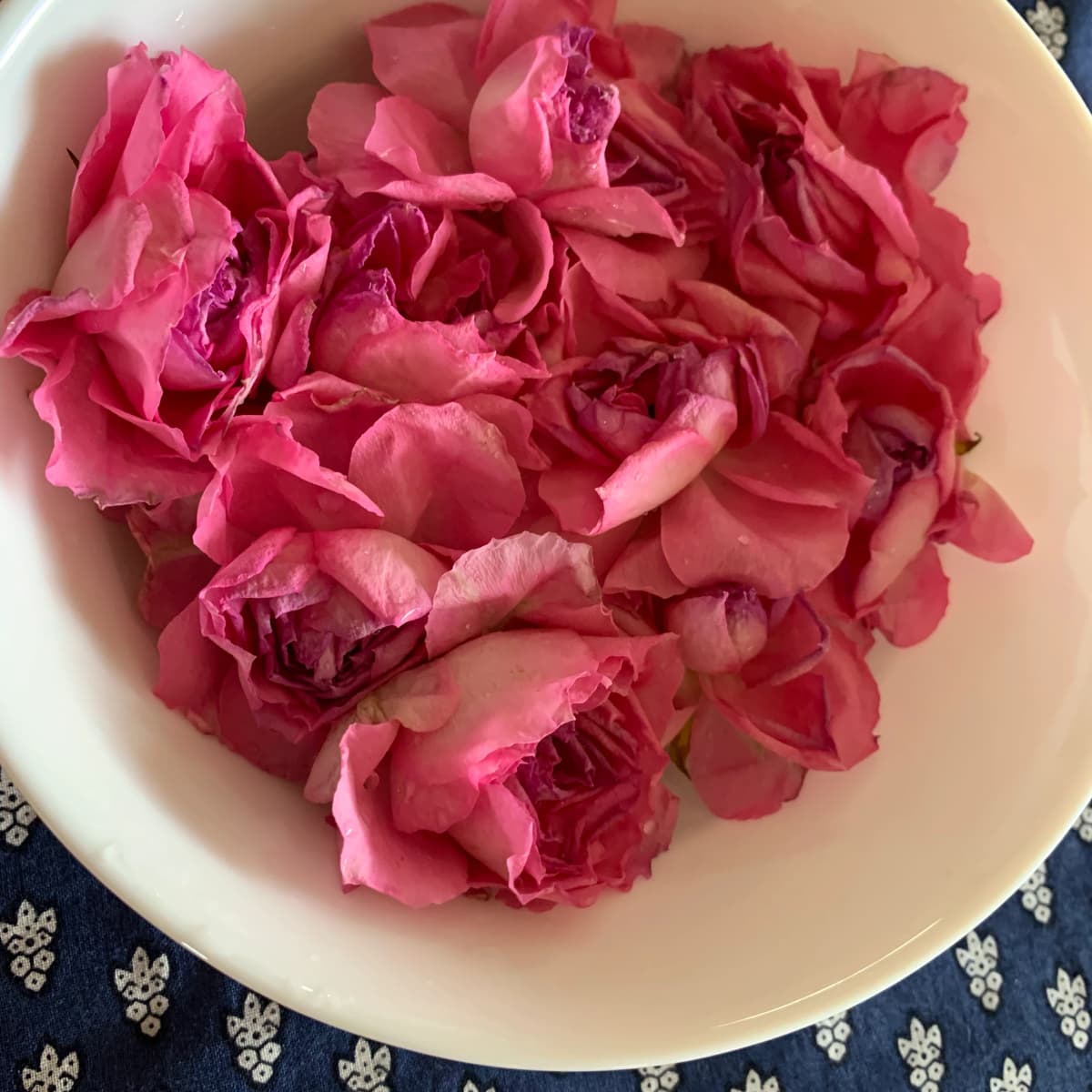 サムネイル画像 6