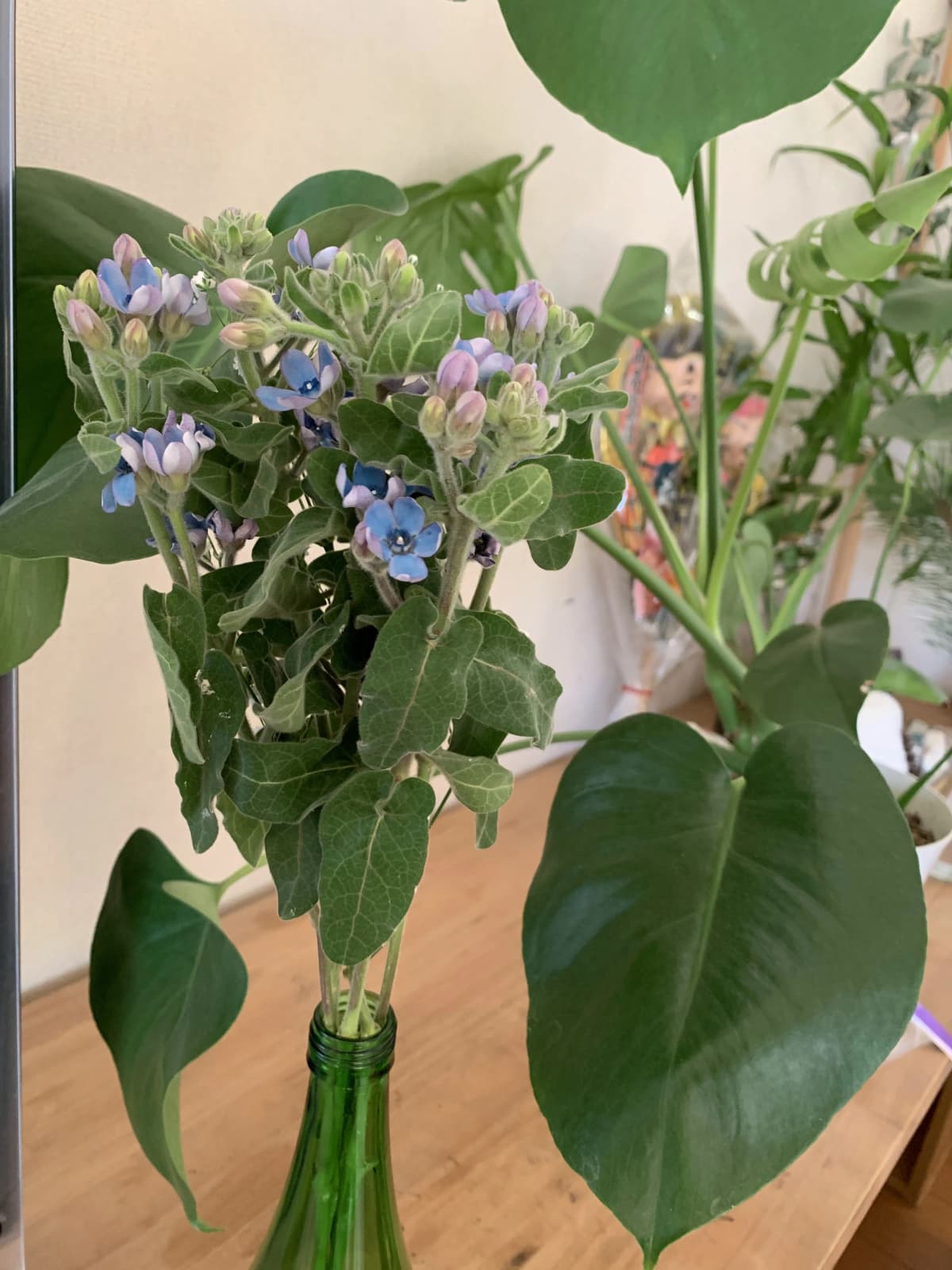 心を育むピアノ教室　わたなべミュージックステーション 粕屋教室 画像 31