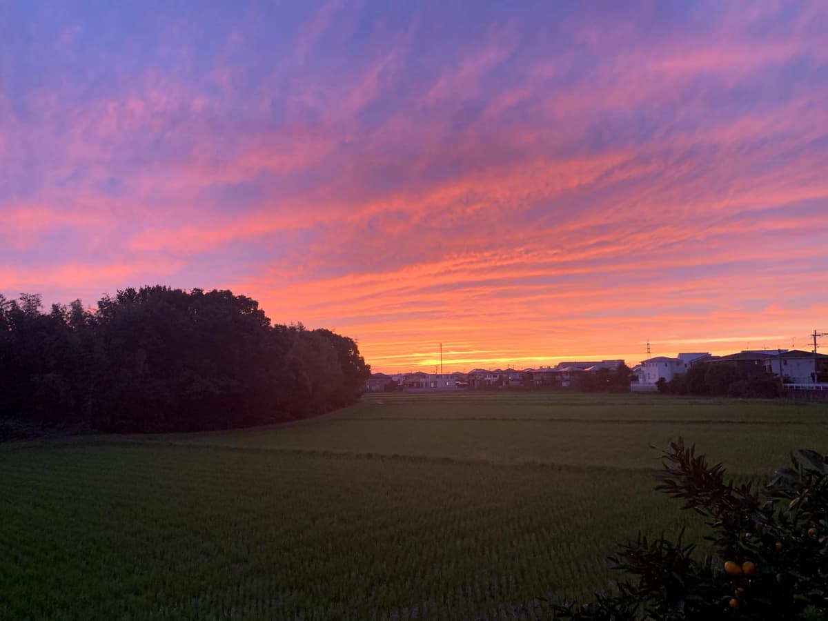 心を育むピアノ教室　わたなべミュージックステーション 粕屋教室 画像 50