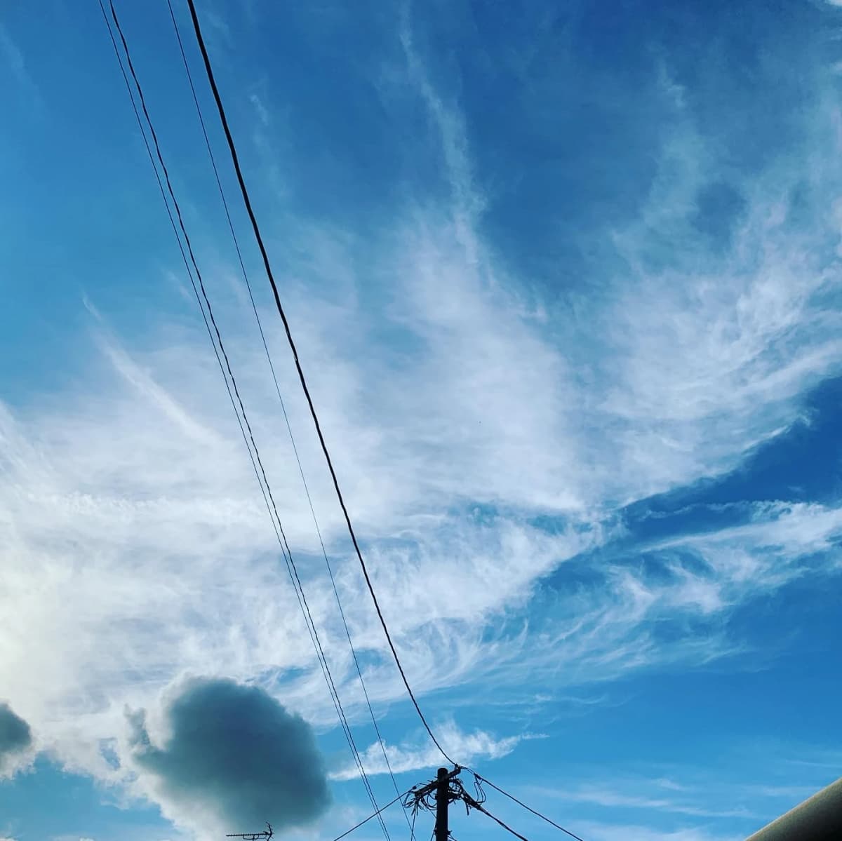 心を育むピアノ教室　わたなべミュージックステーション 粕屋教室 画像 71