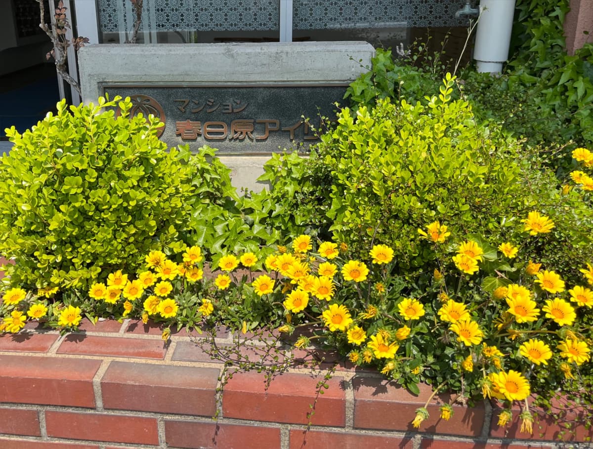 サムネイル画像 6