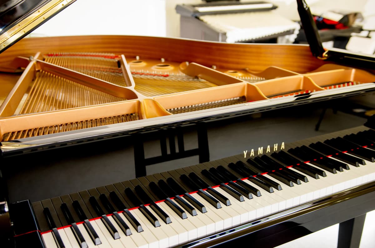 サムネイル画像 3