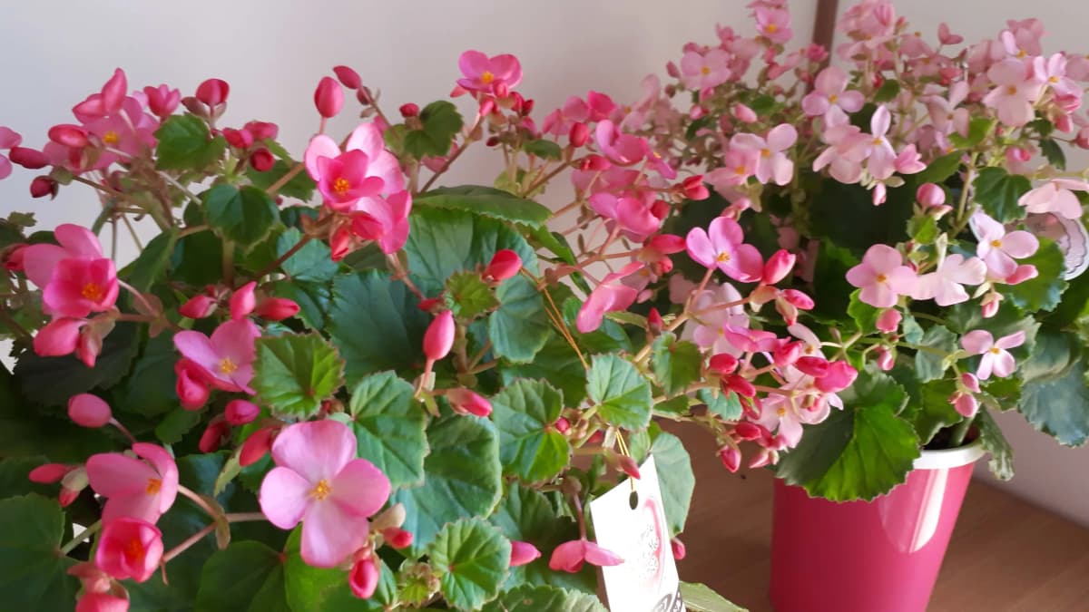 サムネイル画像 3