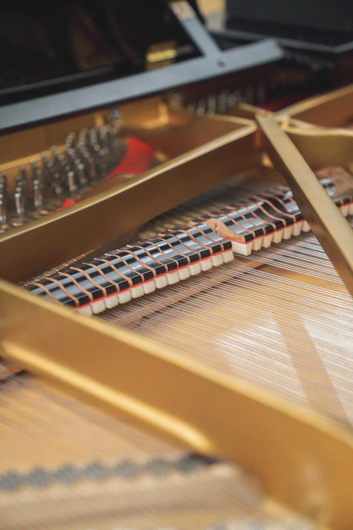 サムネイル画像 5