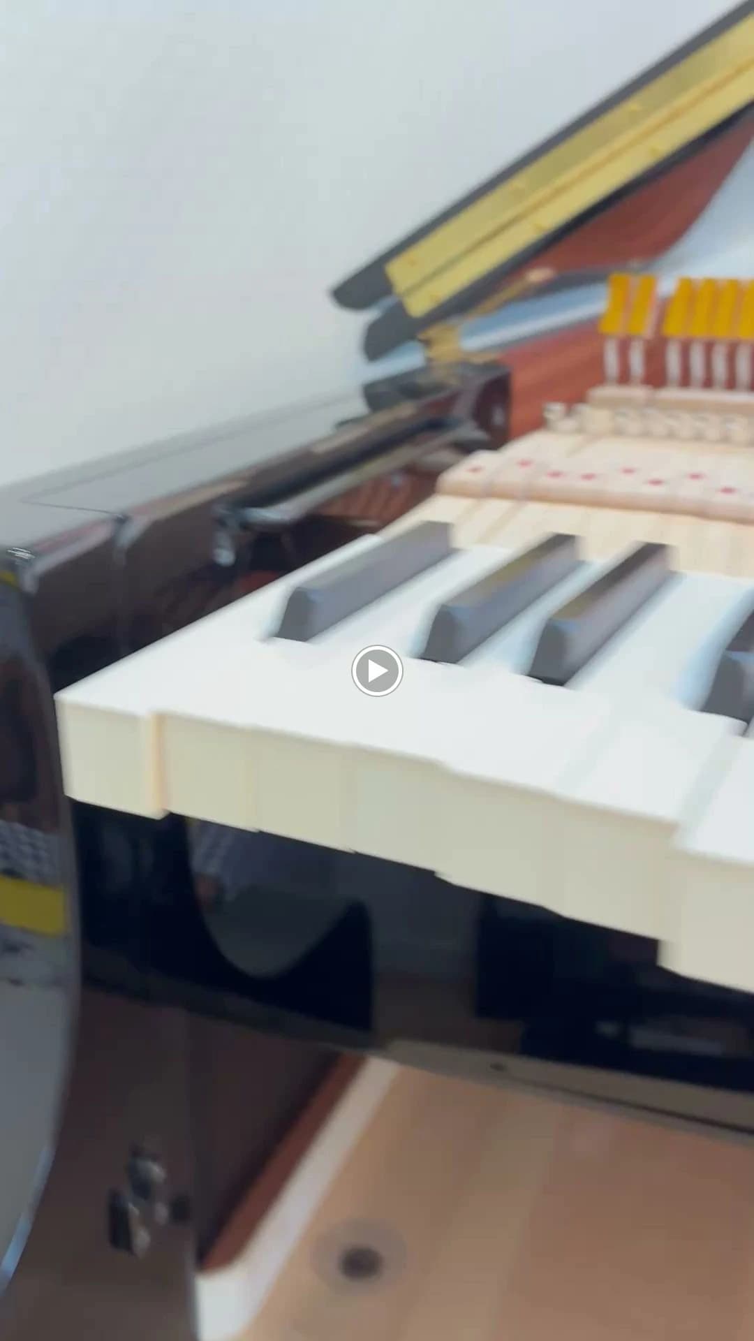 サムネイル画像 6