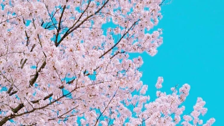 サムネイル画像 4