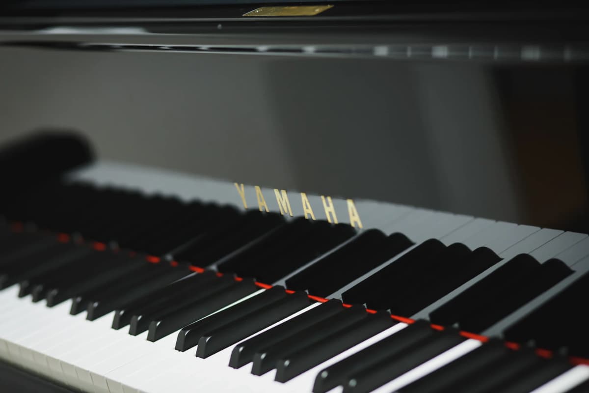 サムネイル画像 3