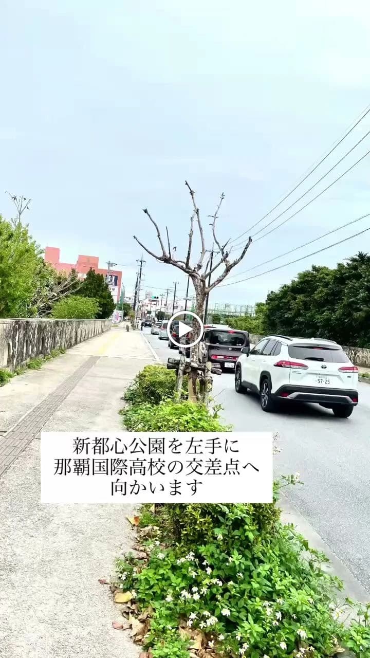 サムネイル画像 3