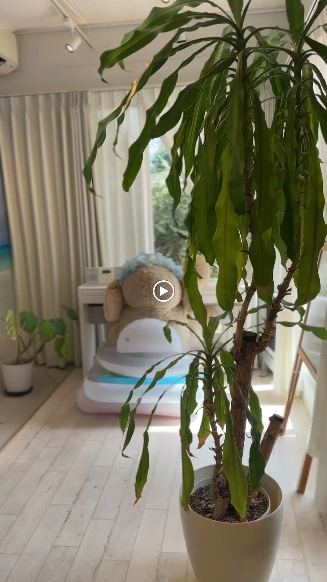 サムネイル画像 4