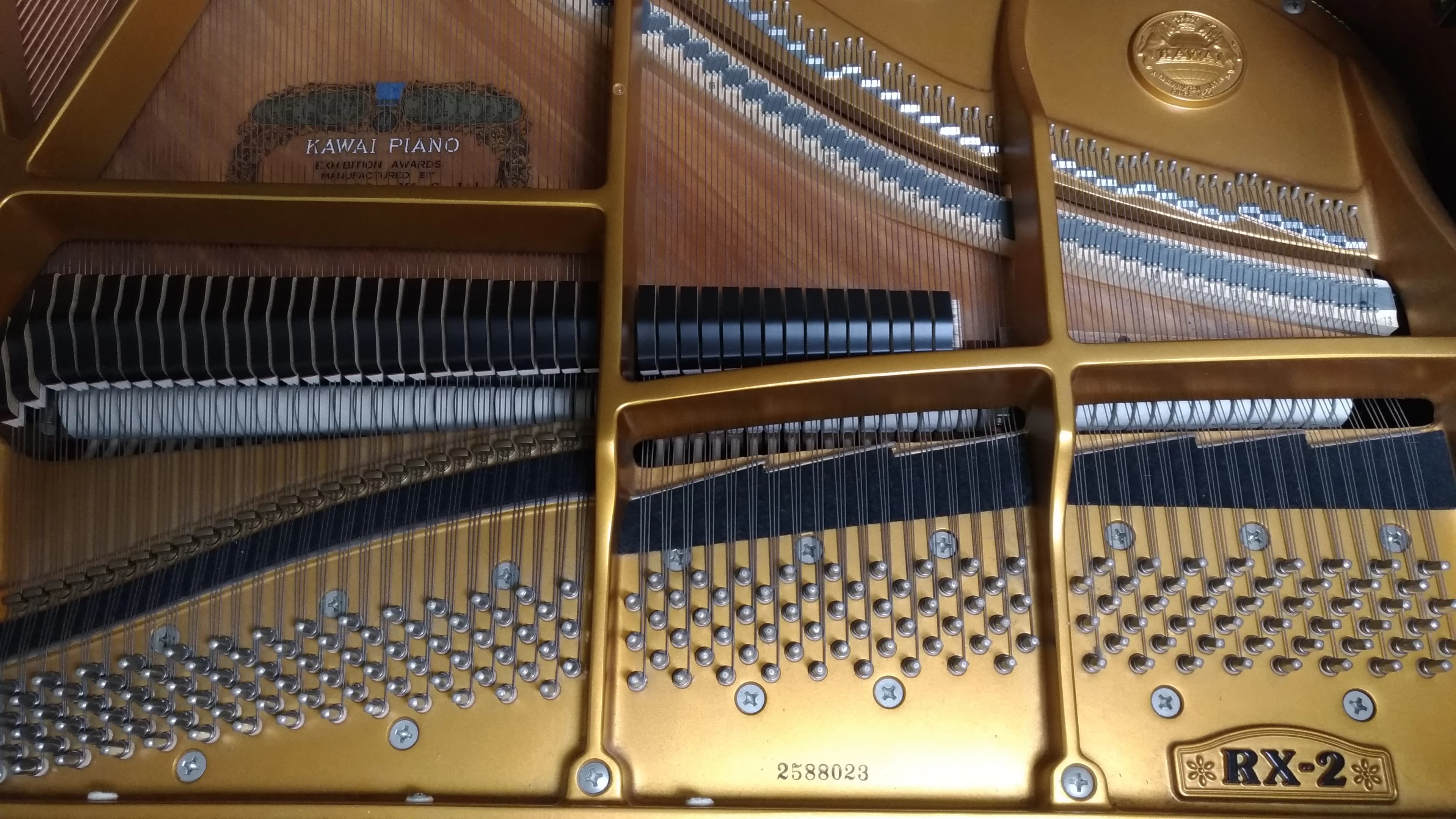 ミュージックアカデミー ラファーレ ボーカル・ボイストレーニング 北大塚教室のメイン画像