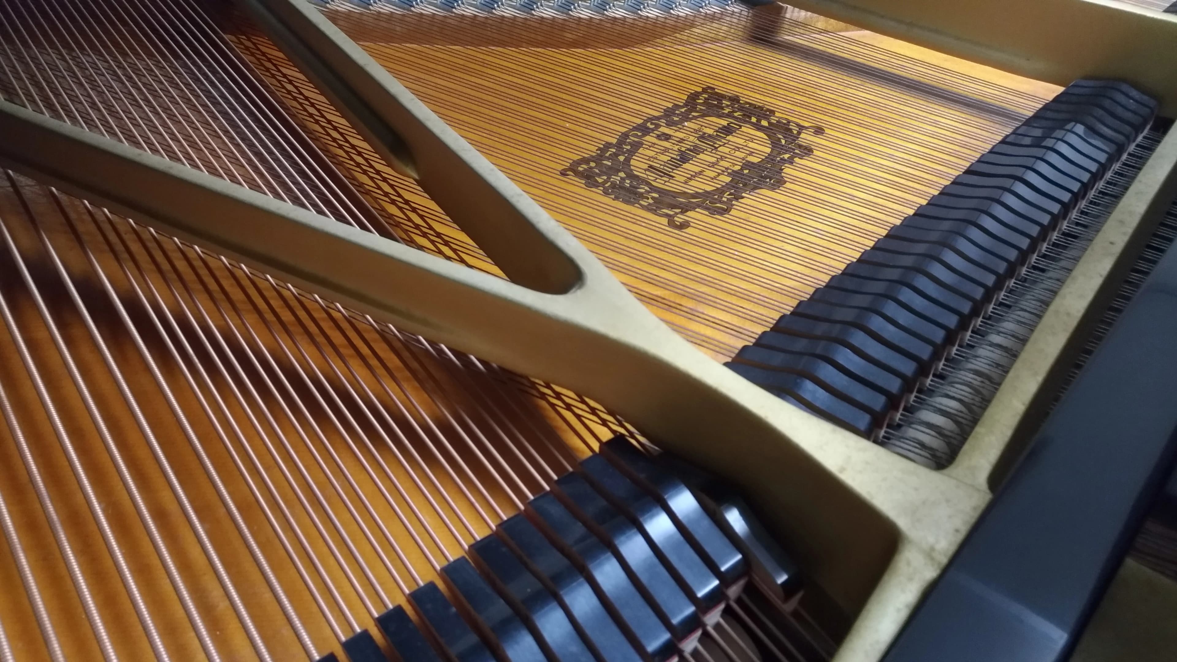 ミュージックアカデミー ラファーレ ボーカル・ボイストレーニング 北大塚教室のサムネイル画像 2