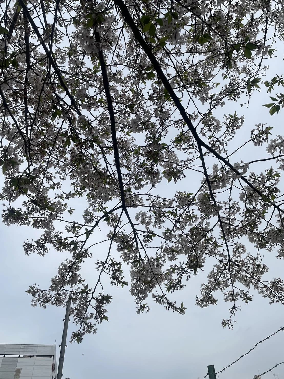 サムネイル画像 3