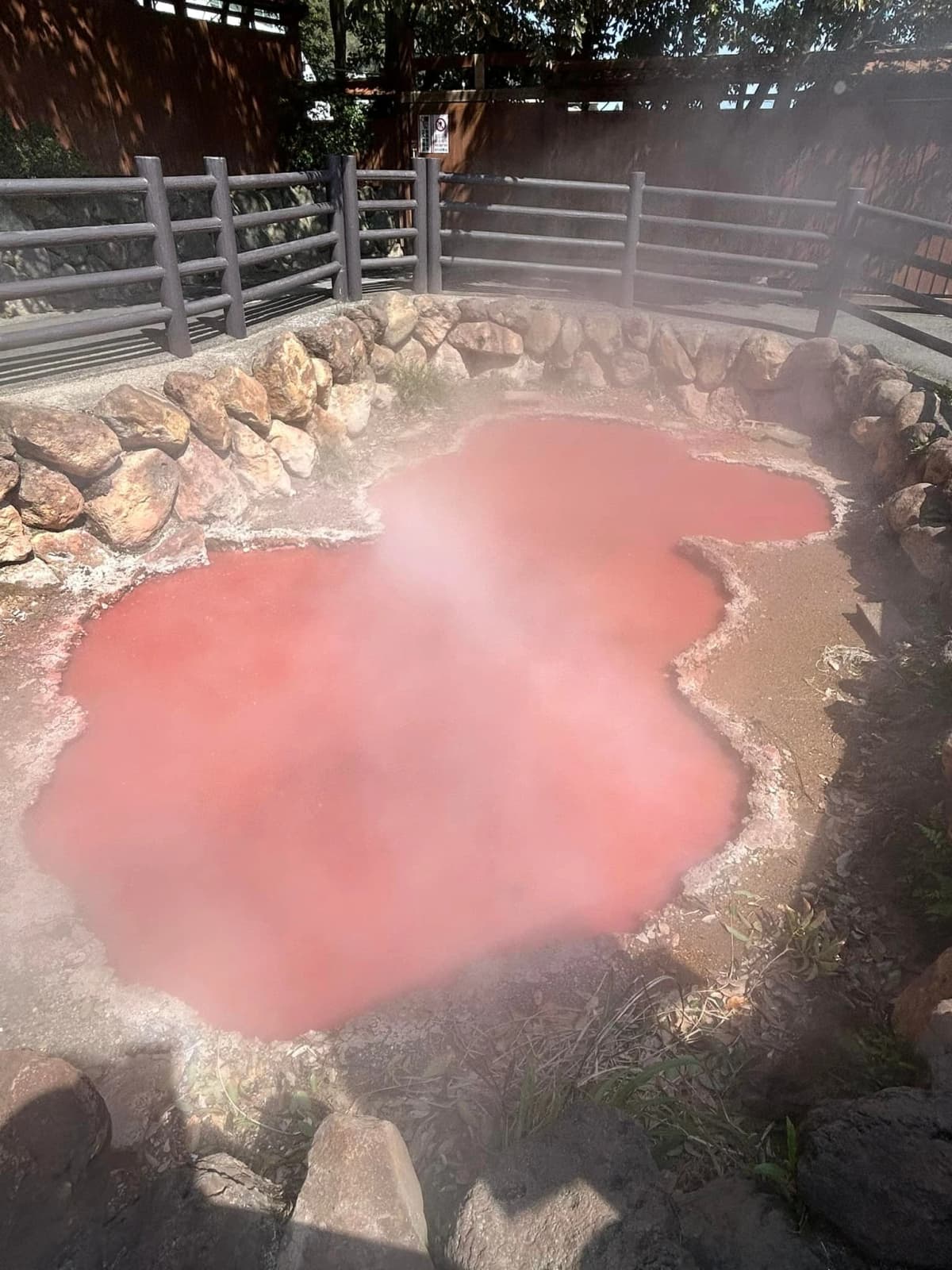 サムネイル画像 6